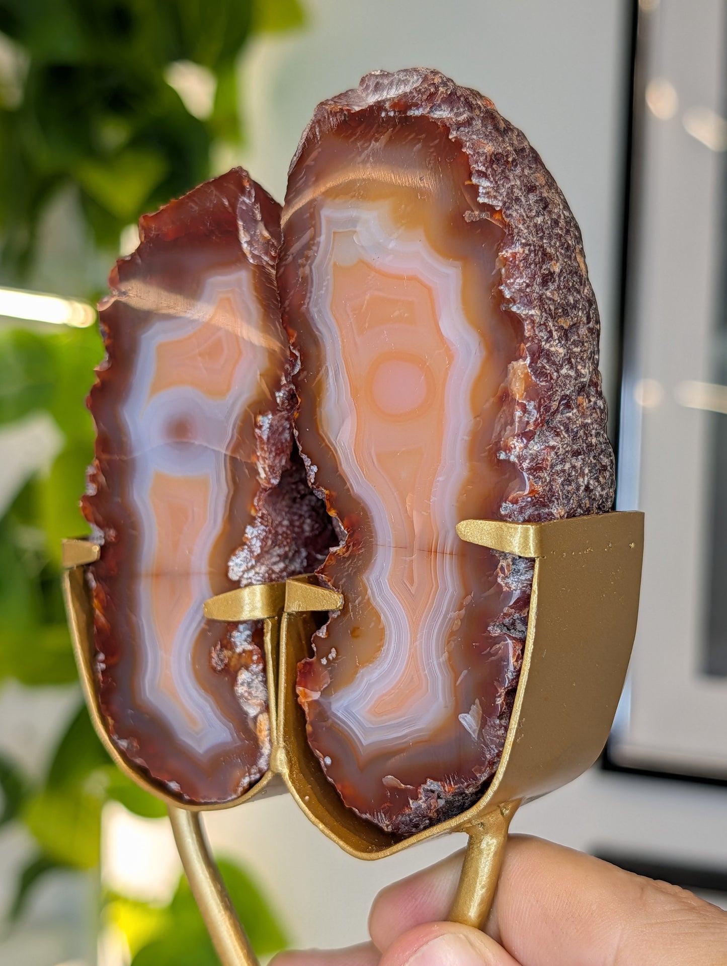 Indonesian Carnelian Half Raw Half Polished Freeform on Stand