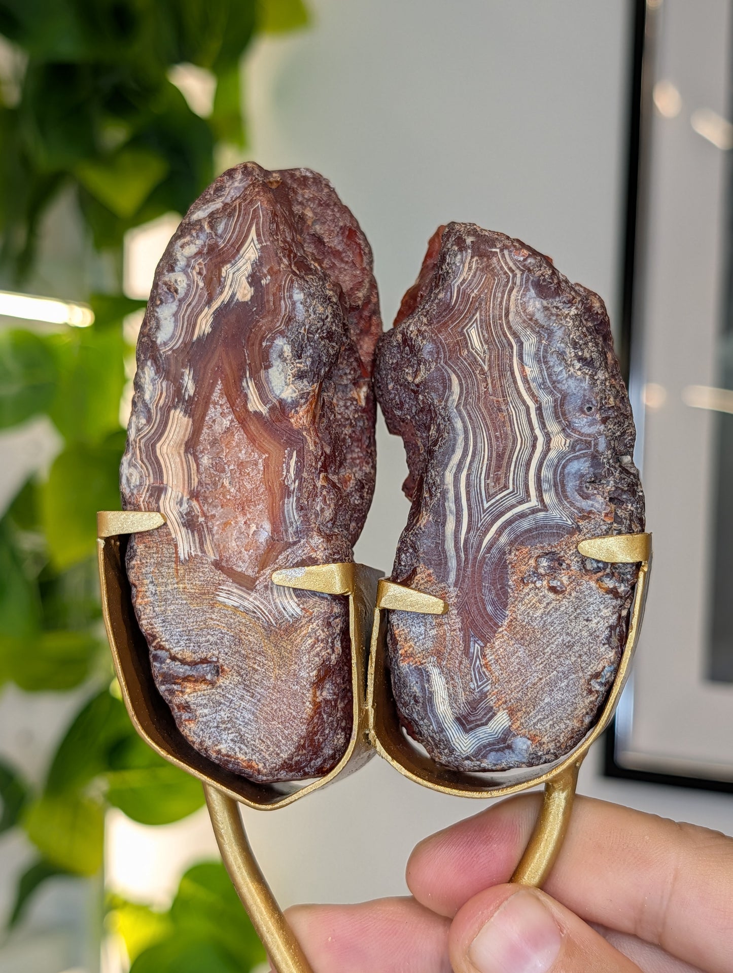 Indonesian Carnelian Half Raw Half Polished Freeform on Stand