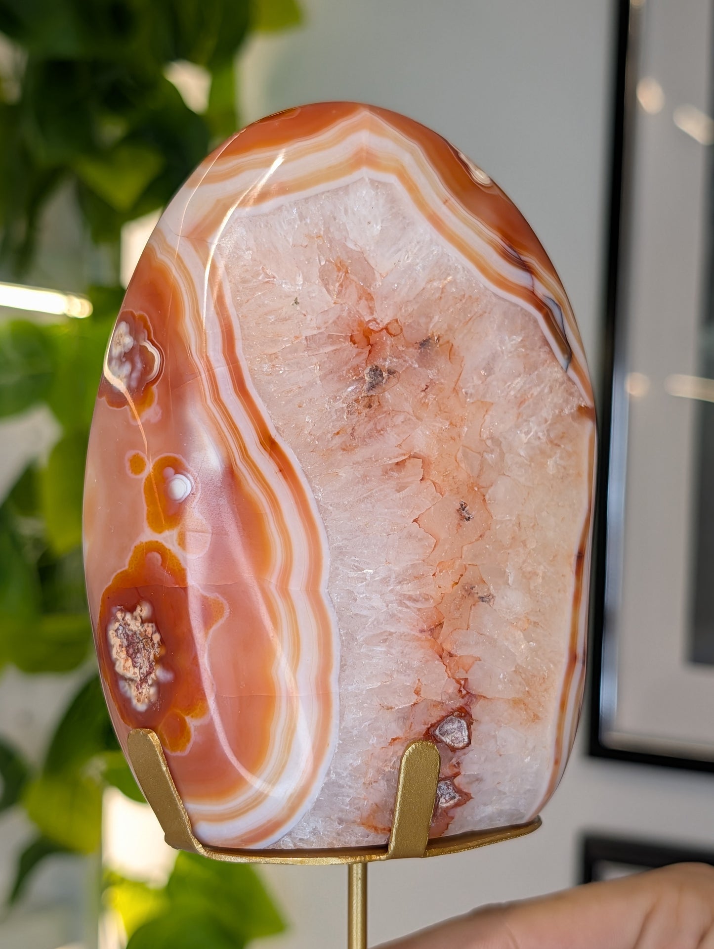 Indonesian Carnelian Polished Freeform on Stand