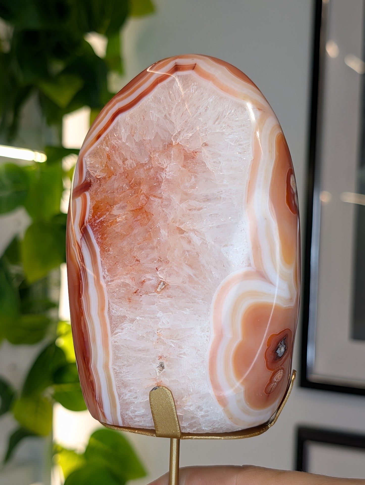 Indonesian Carnelian Polished Freeform on Stand