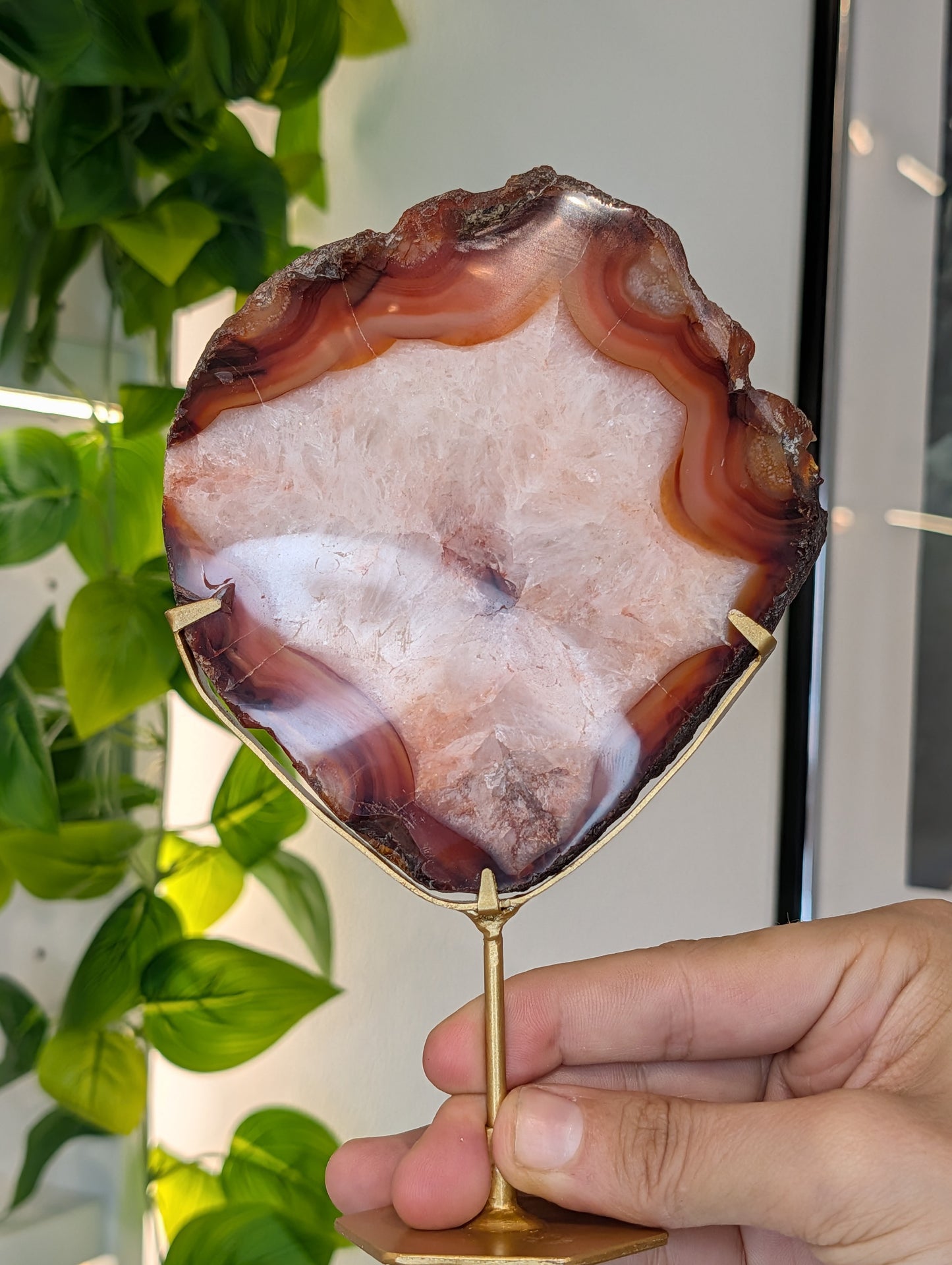 Indonesian Carnelian Polished Slab with Raw Edge on Custom Stand