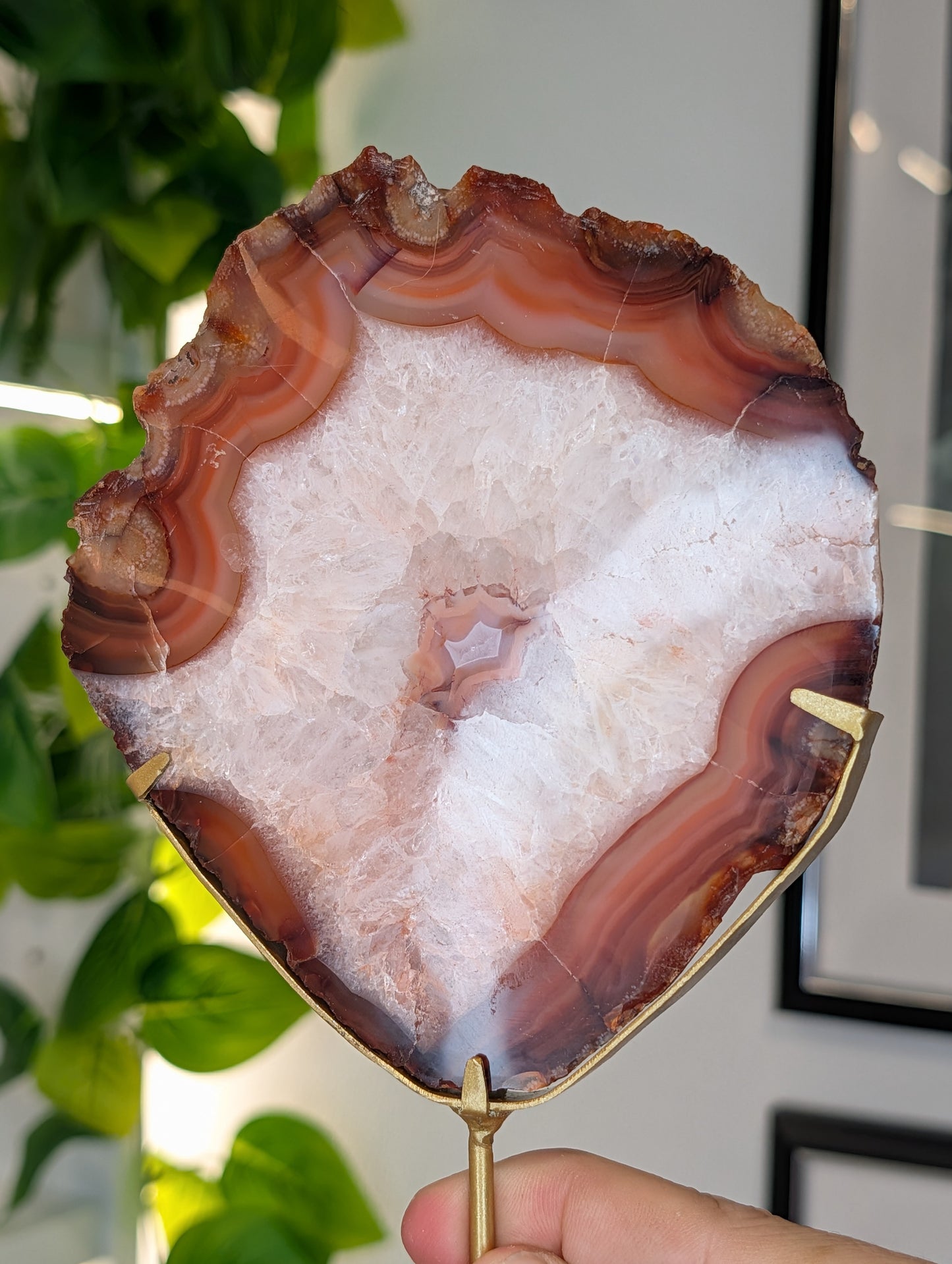 Indonesian Carnelian Polished Slab with Raw Edge on Custom Stand