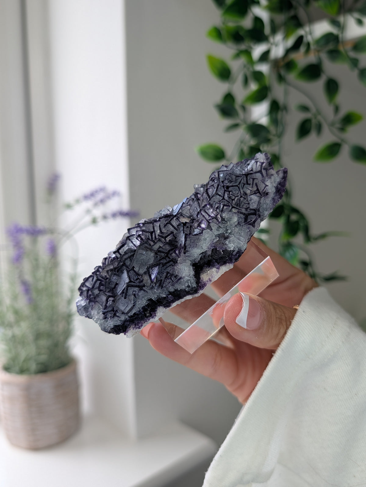 Black Worrier / Purple Edge Fluorite Specimen from Inner Mongolia