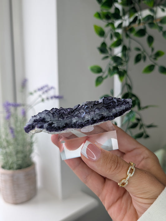 Black Worrier / Purple Edge Fluorite Specimen from Inner Mongolia