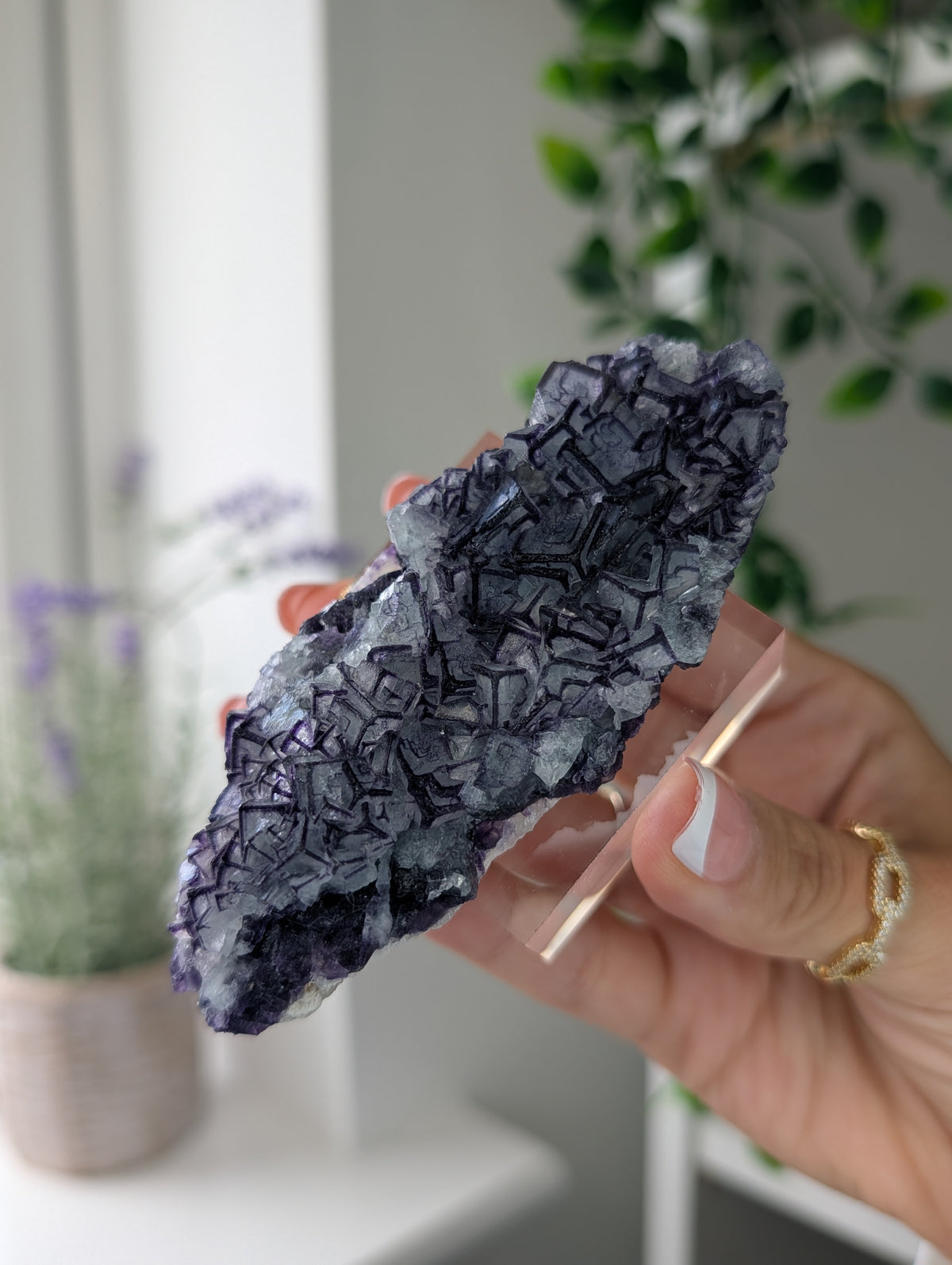 Black Worrier / Purple Edge Fluorite Specimen from Inner Mongolia
