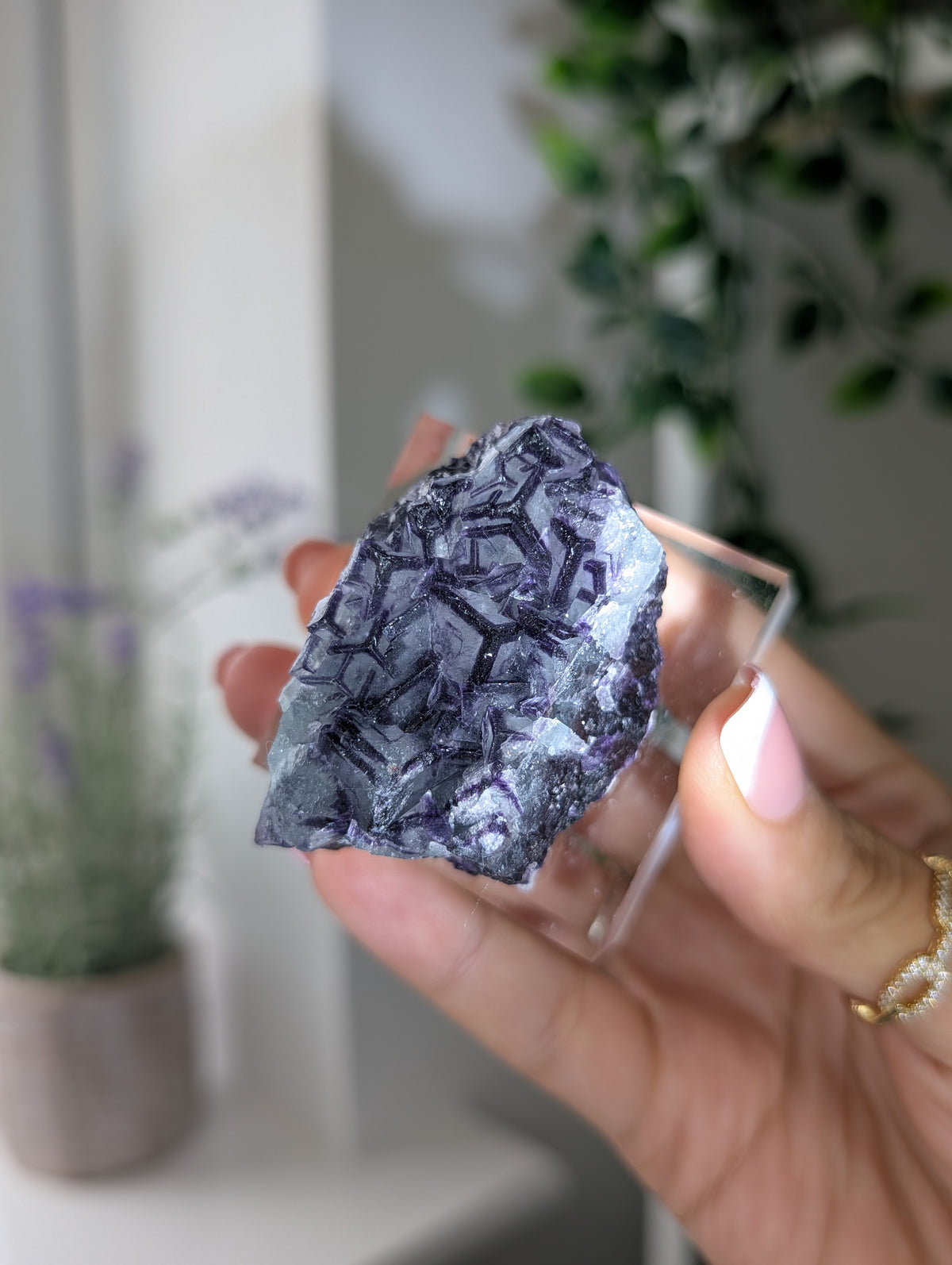 Black Worrier / Purple Edge Fluorite Specimen from Inner Mongolia