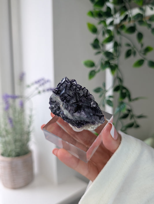 Black Worrier / Purple Edge Fluorite Specimen from Inner Mongolia