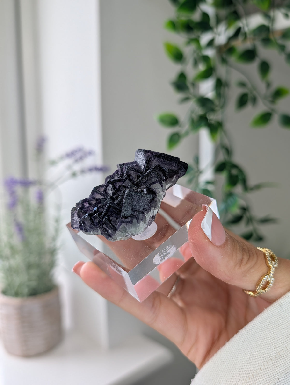 Black Worrier / Purple Edge Fluorite Specimen from Inner Mongolia