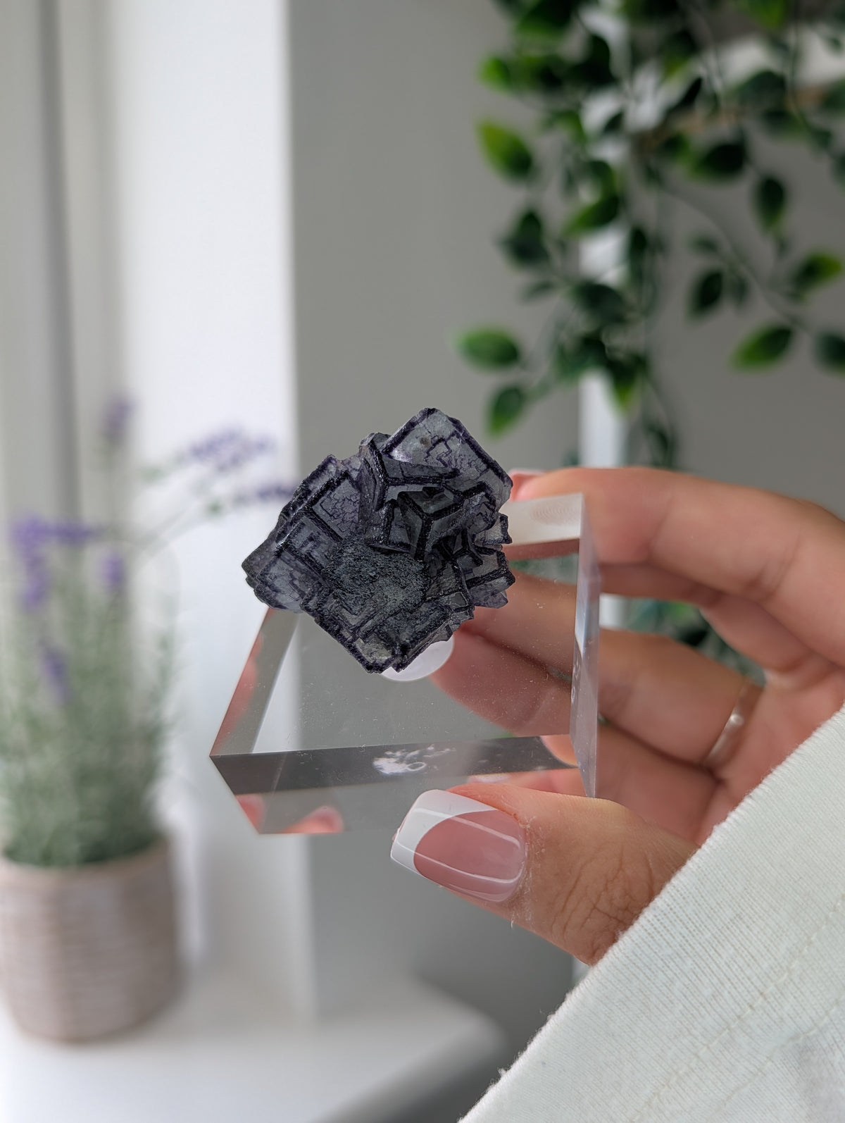 Black Worrier / Purple Edge Fluorite Specimen from Inner Mongolia