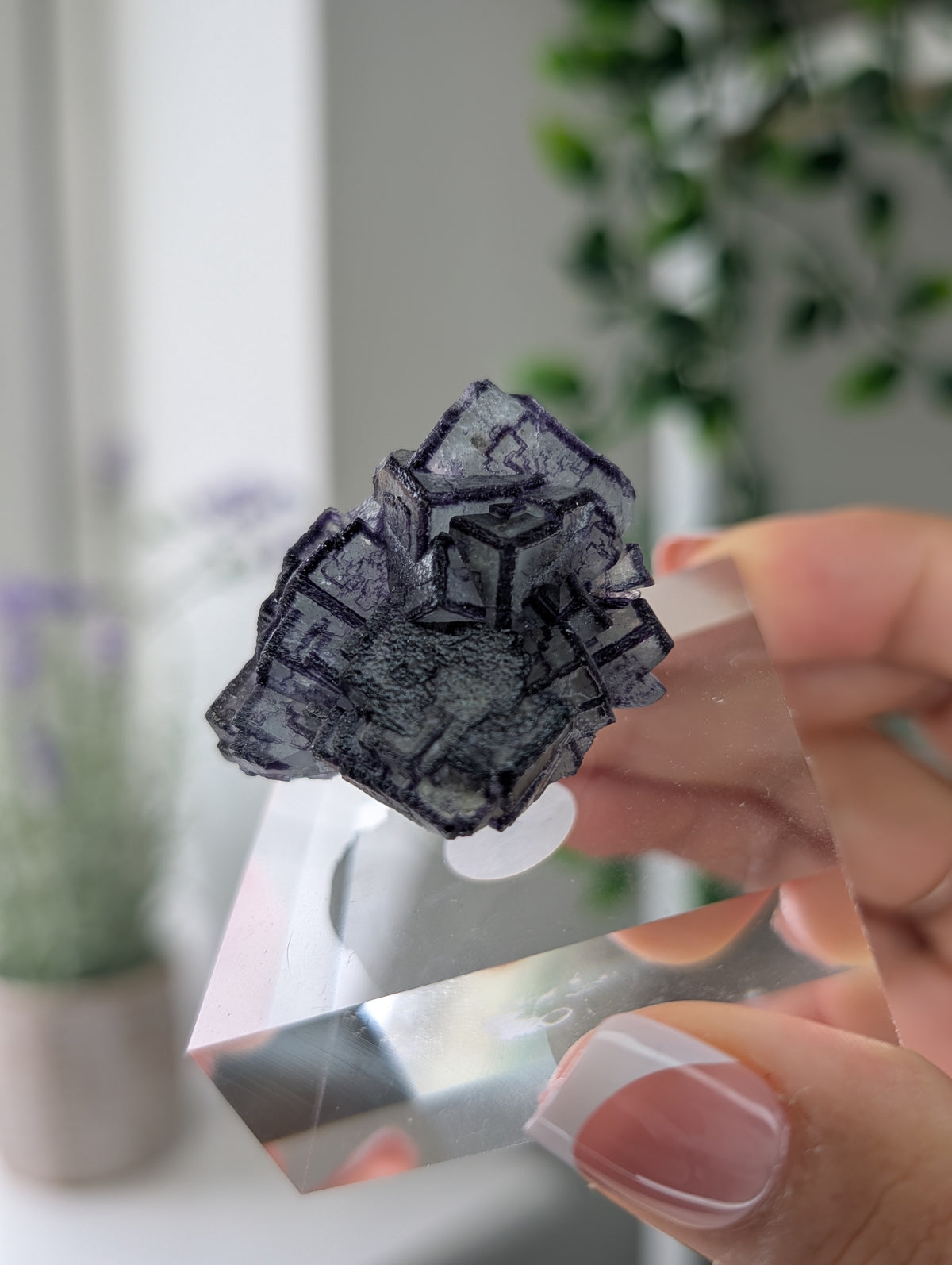 Black Worrier / Purple Edge Fluorite Specimen from Inner Mongolia