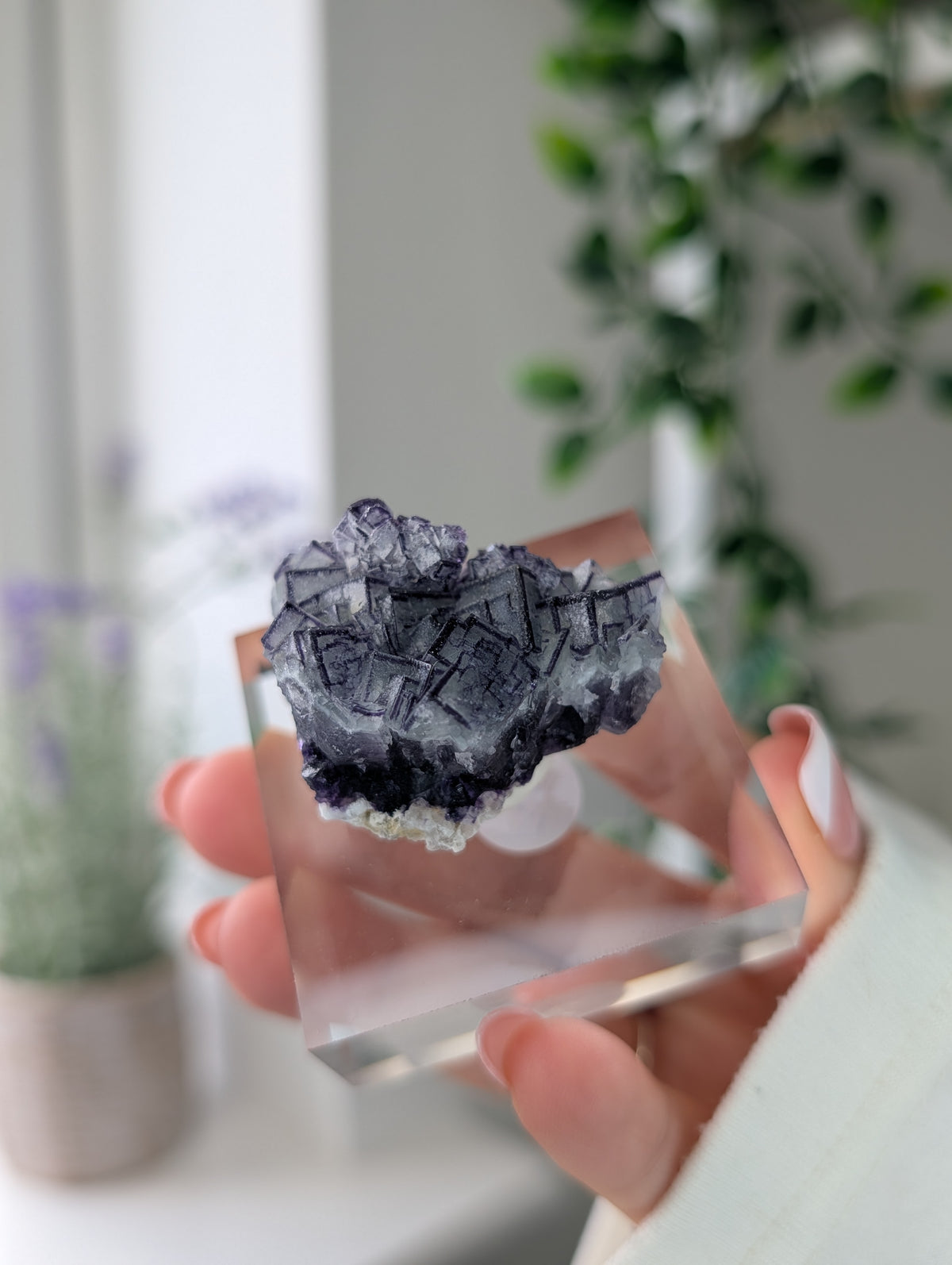 Black Worrier / Purple Edge Fluorite Specimen from Inner Mongolia