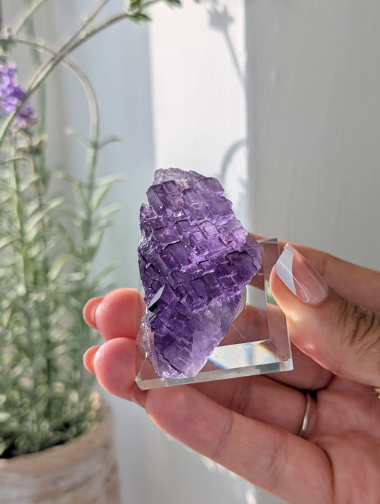 Purple Stepped Fluorite Specimen from Xin Jiang China