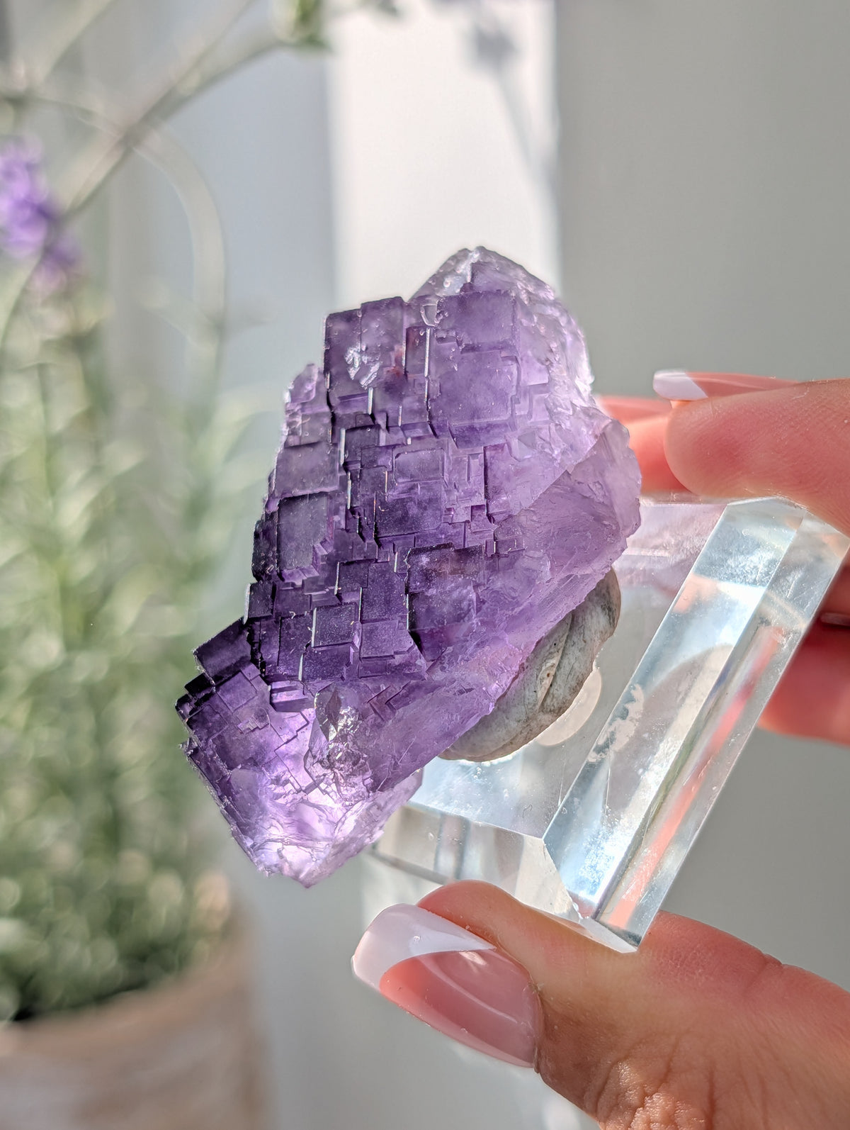 Purple Stepped Fluorite Specimen from Xin Jiang China