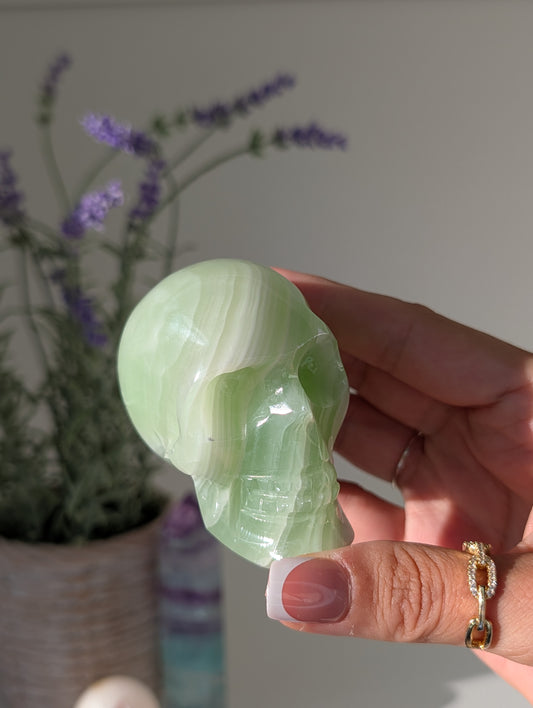 Green Banded Onyx Calcite Skull from Mexico