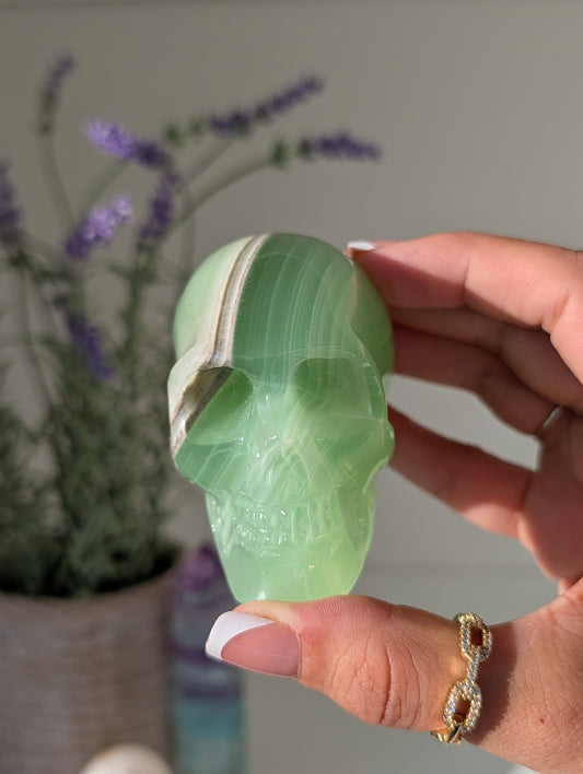 Green Banded Onyx Calcite Skull from Mexico