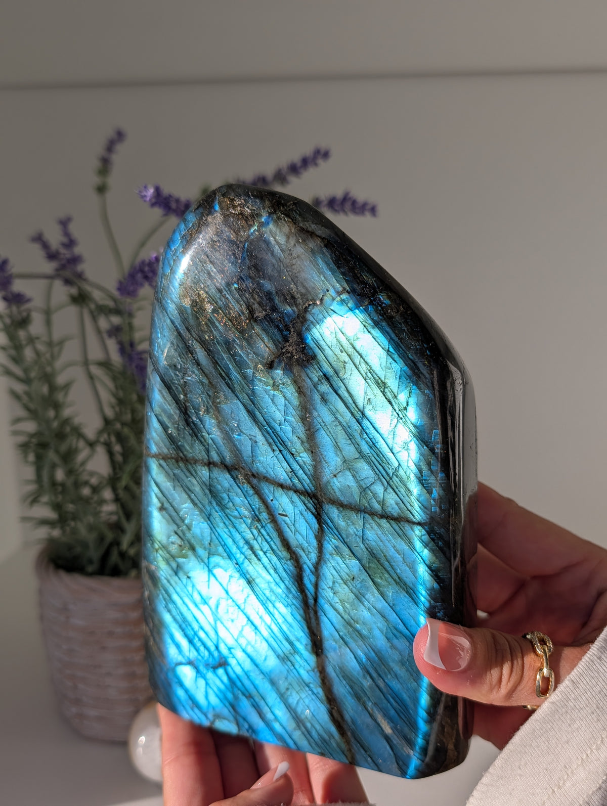 2.4kg Labradorite Statement Freeform from Madagascar