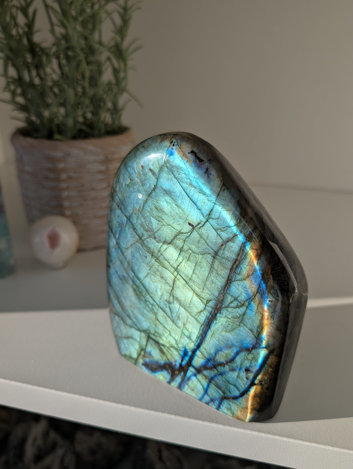 1.5kg Labradorite Statement Freeform from Madagascar