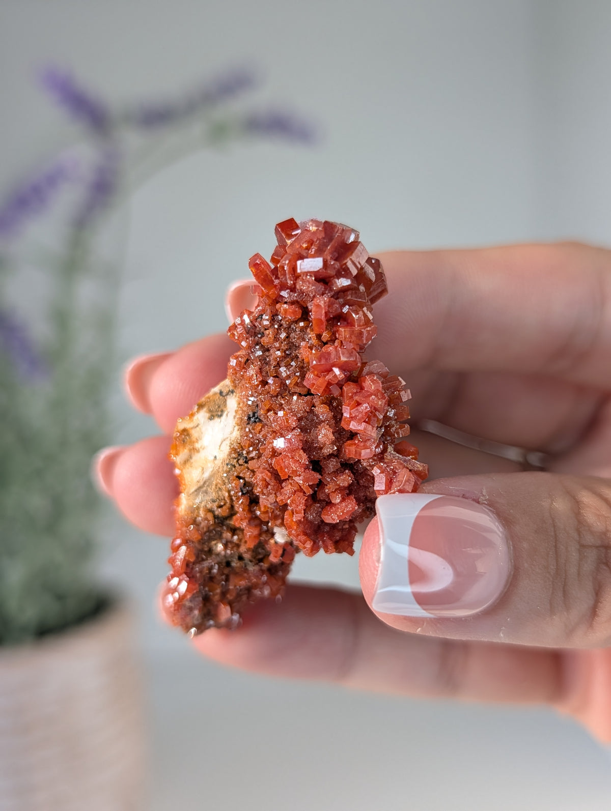 Vanadinite on Barite Specimens from Morocco