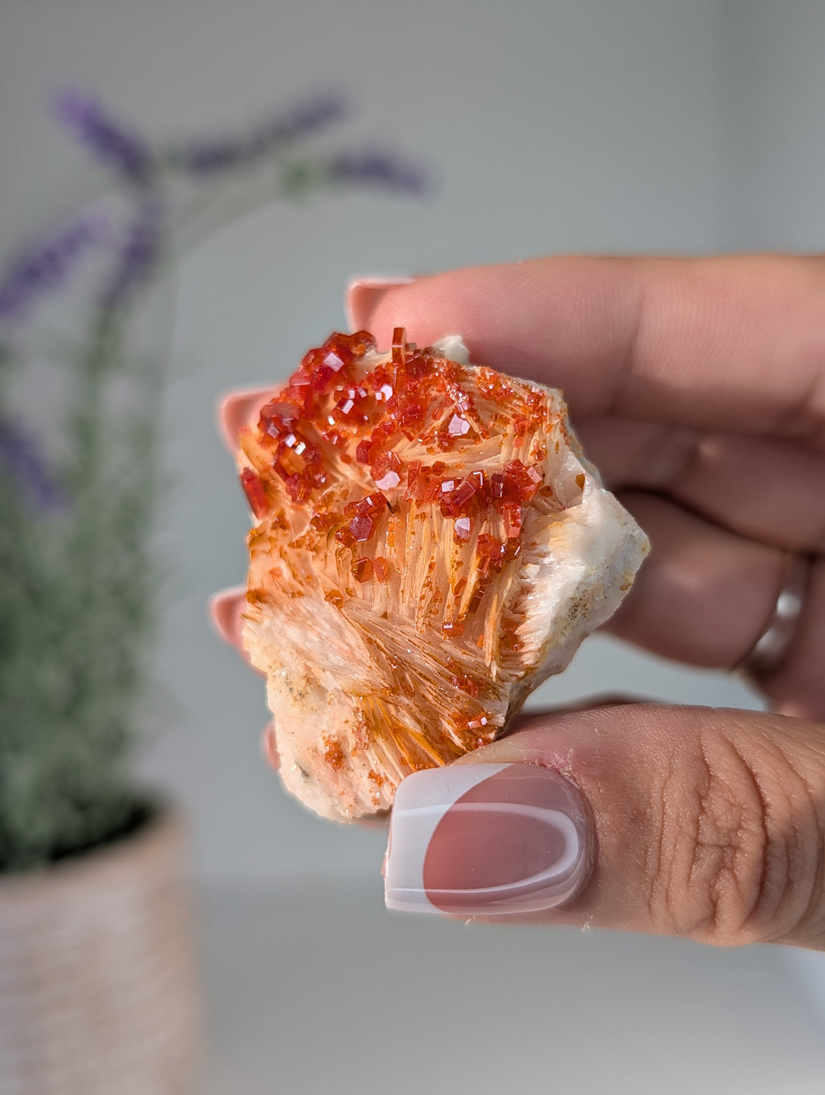 Vanadinite on Barite Specimens from Morocco