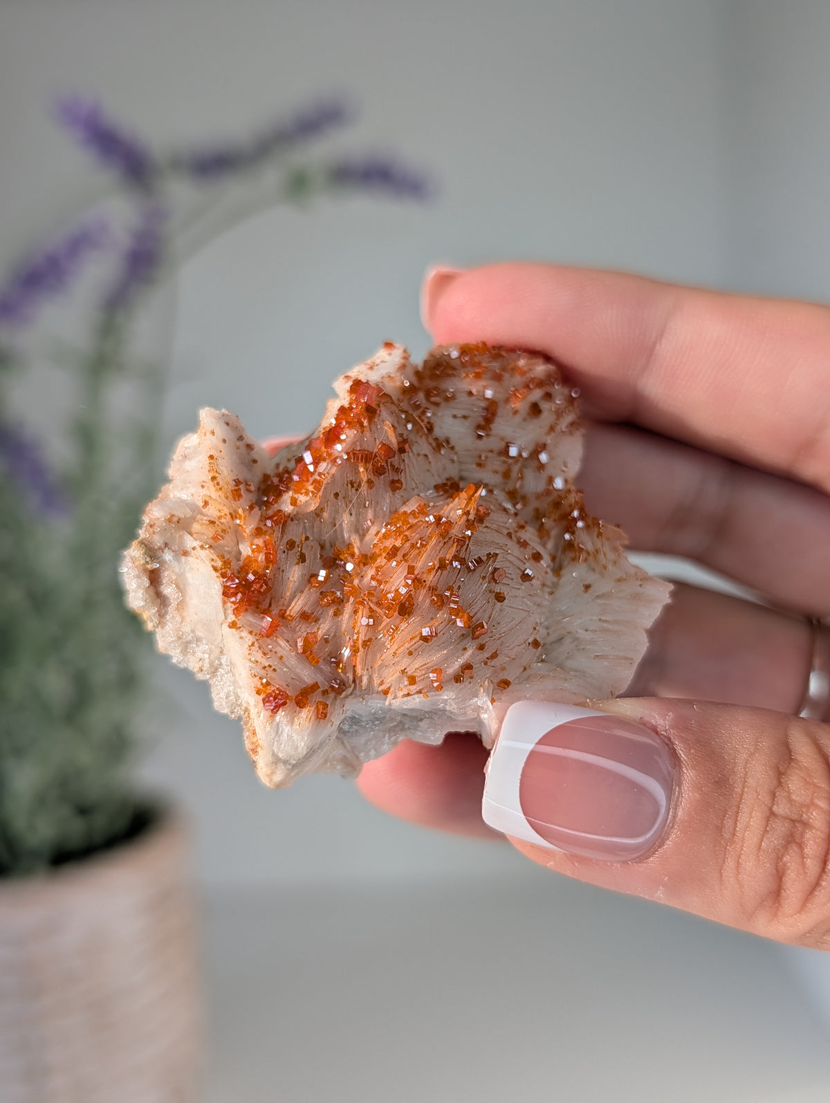 Vanadinite on Barite Specimens from Morocco