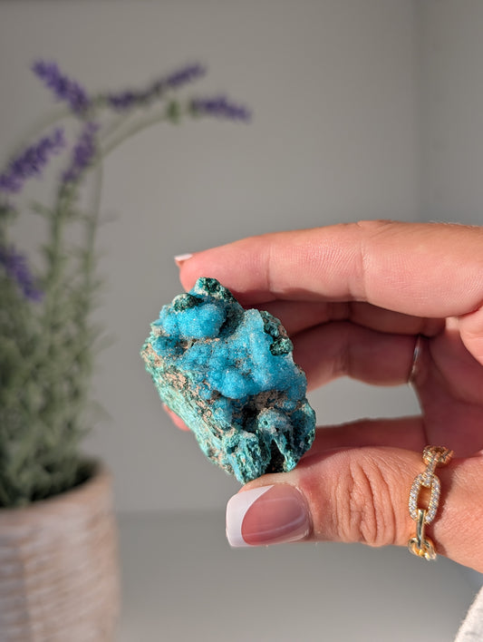 Chrysocolla & Malachite Specimens from Democratic Republic of the Congo