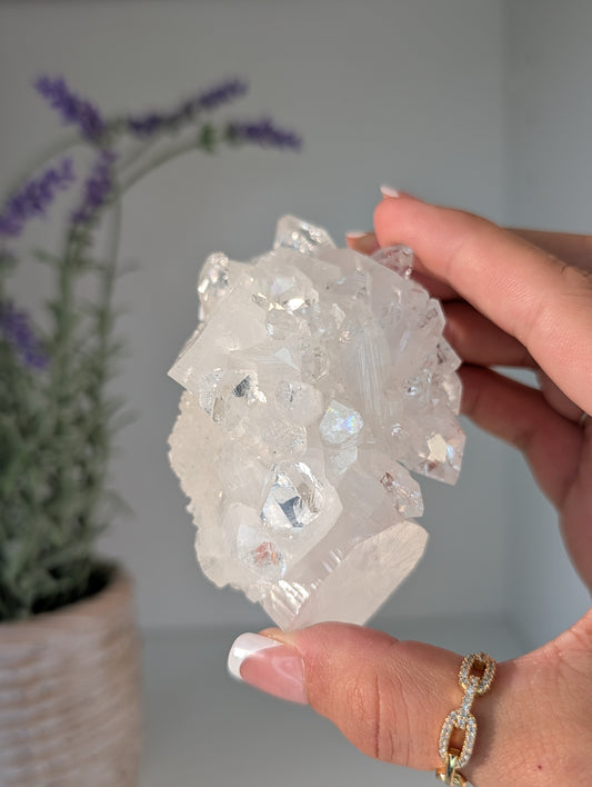 Diamond Apophyllite Specimens from Maharashtra, India