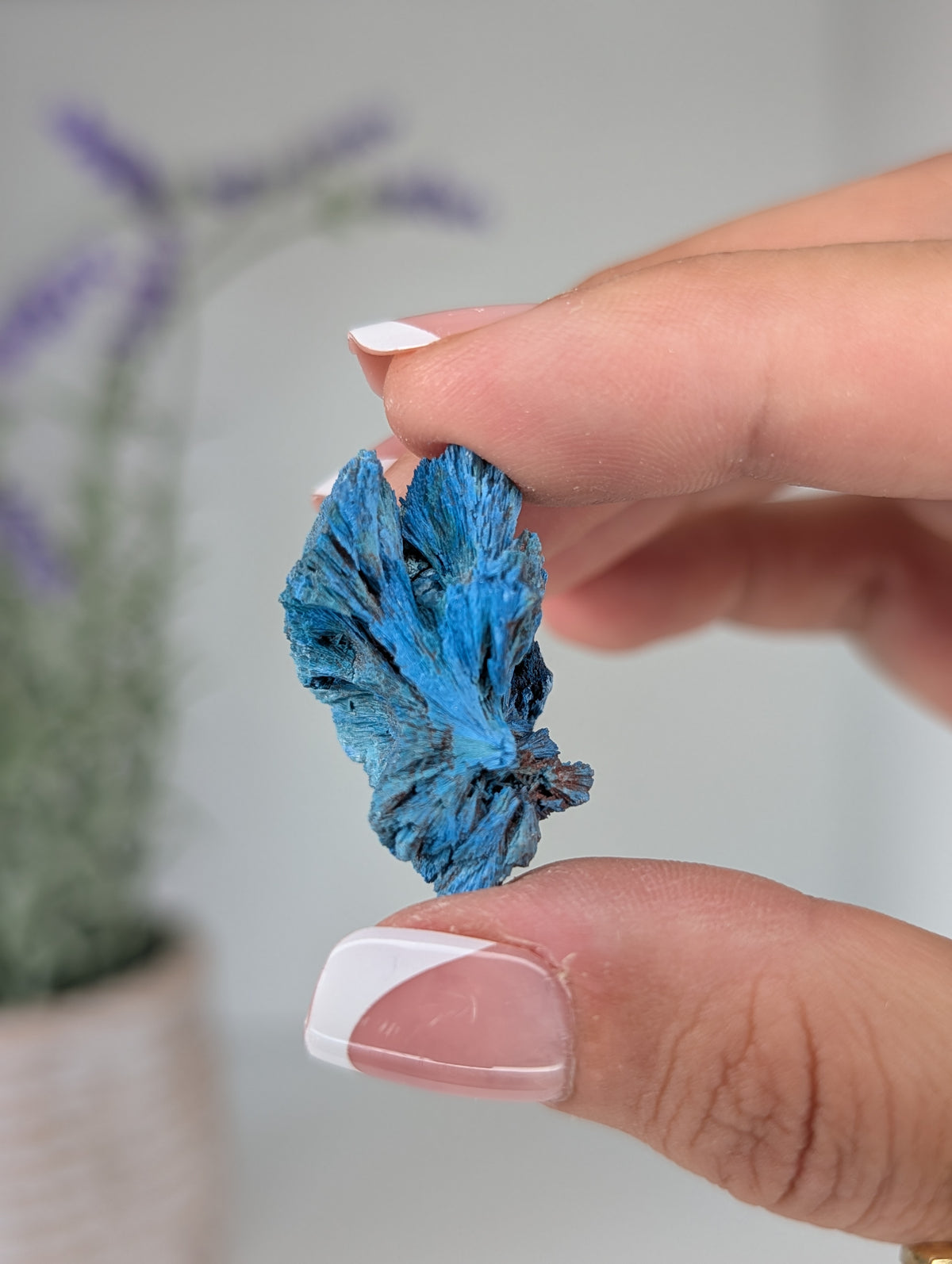 Raw Shattuckite Specimens from Nambia