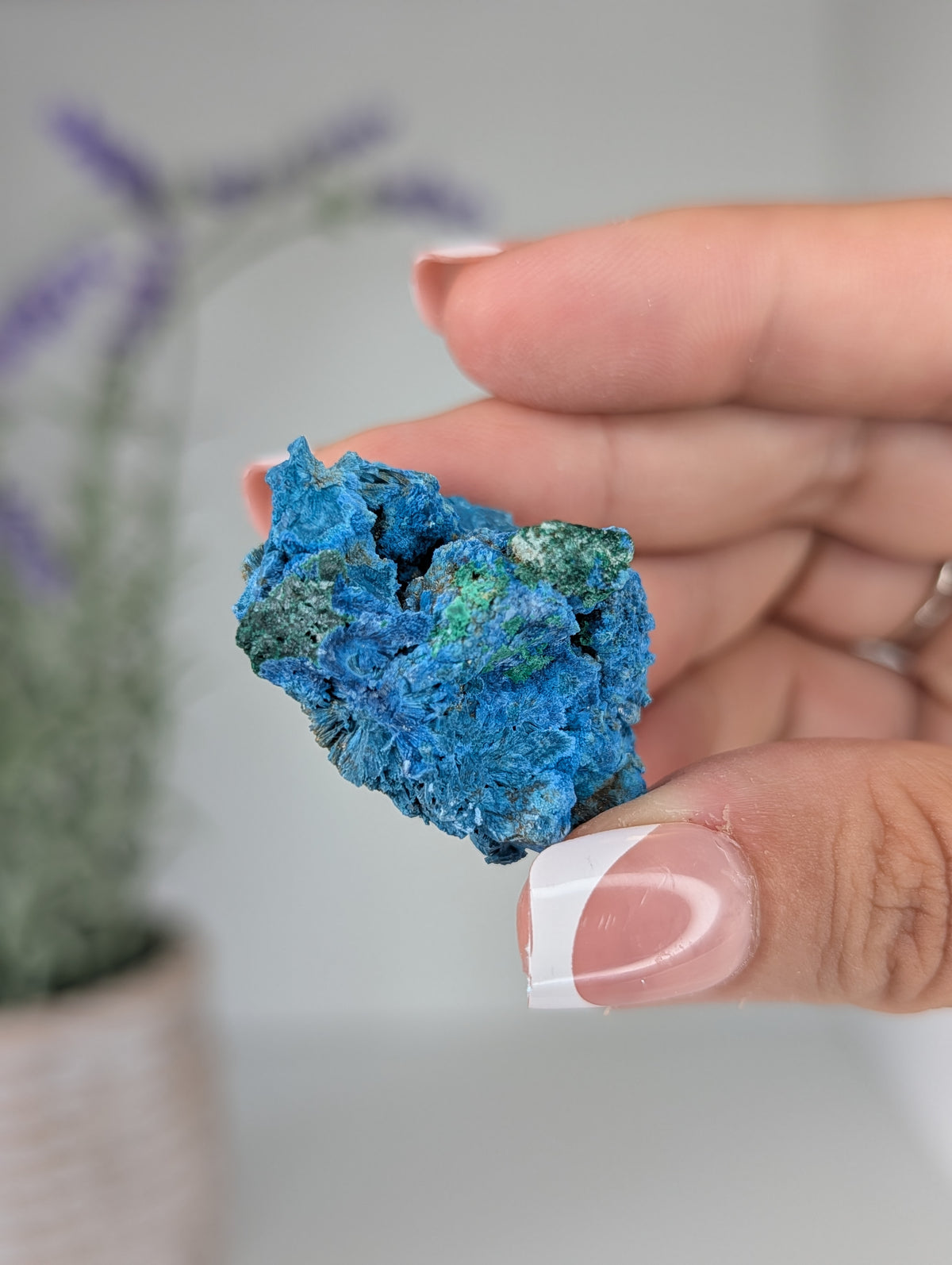 Raw Shattuckite Specimens from Nambia