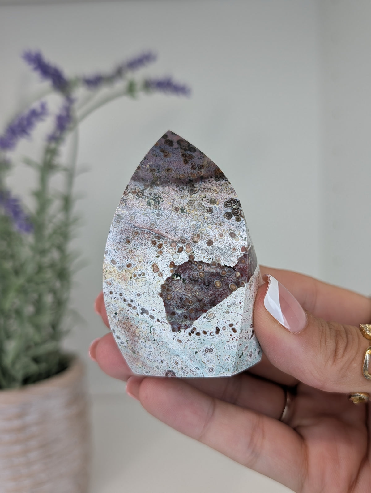 Unicorn Jasper Freeform Flames from India