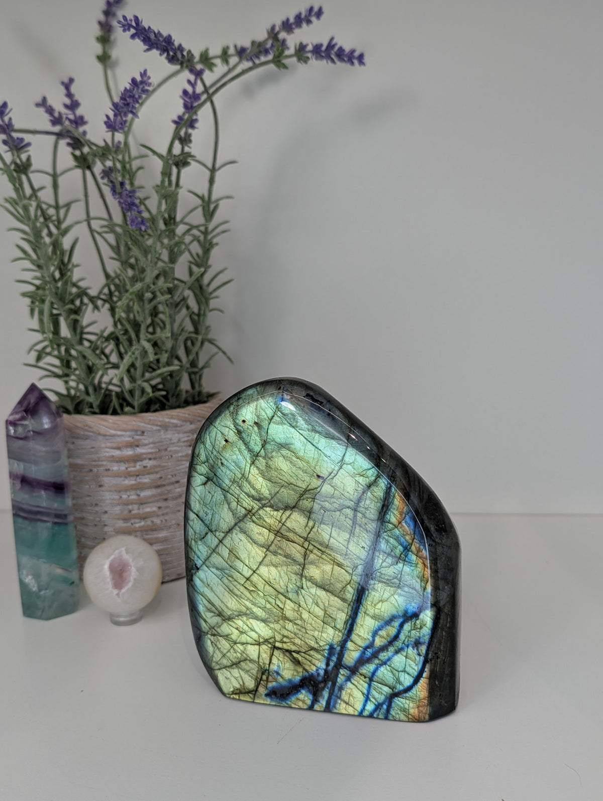1.5kg Labradorite Statement Freeform from Madagascar