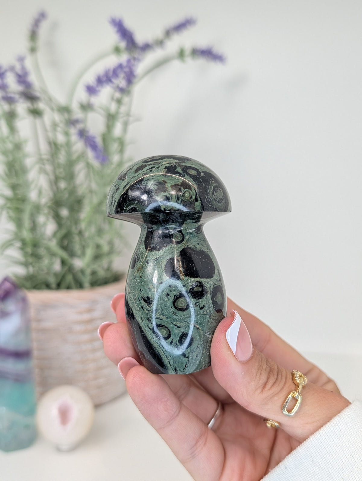 Madagascan Kambaba Jasper Mushrooms