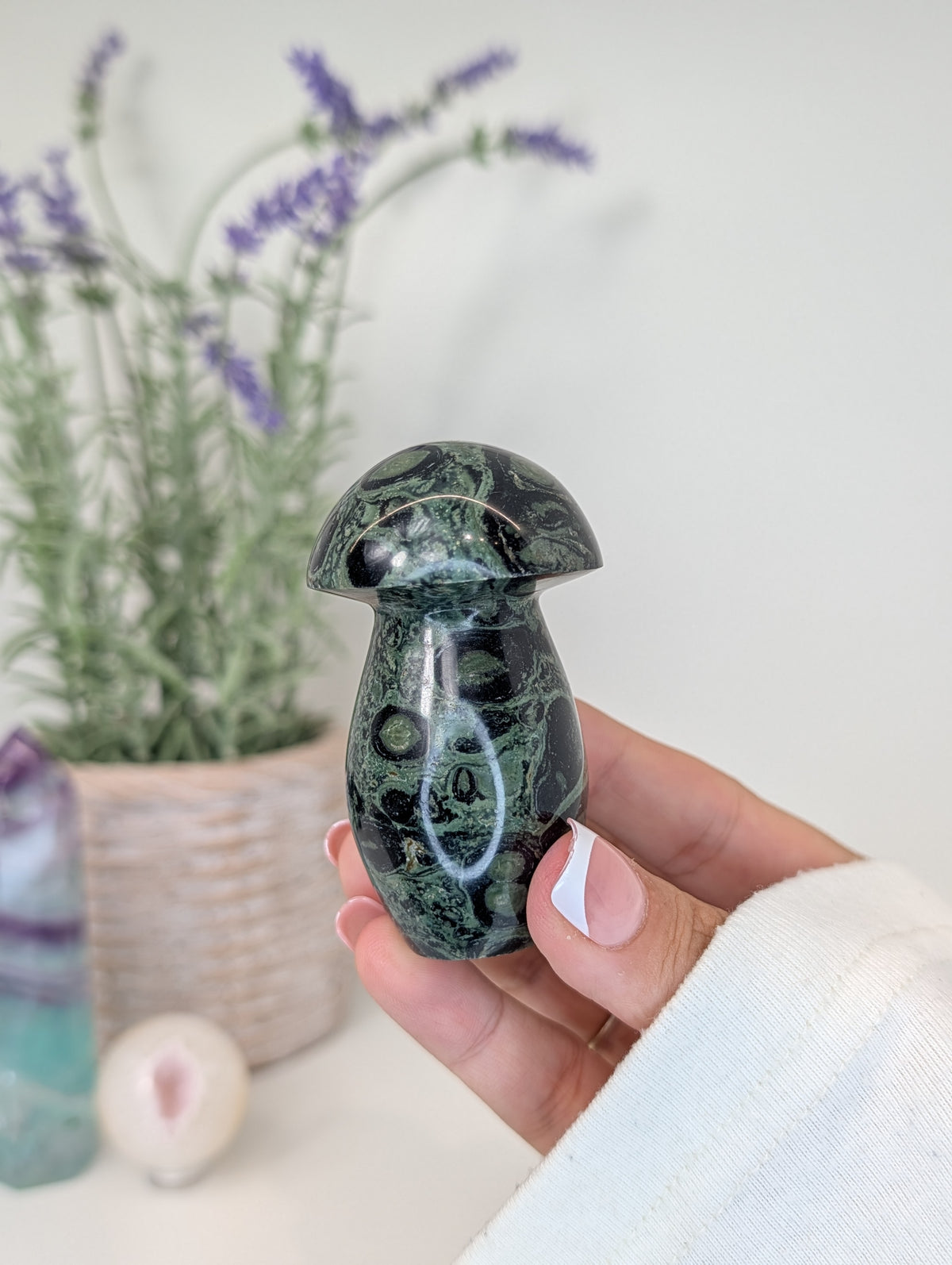 Madagascan Kambaba Jasper Mushrooms