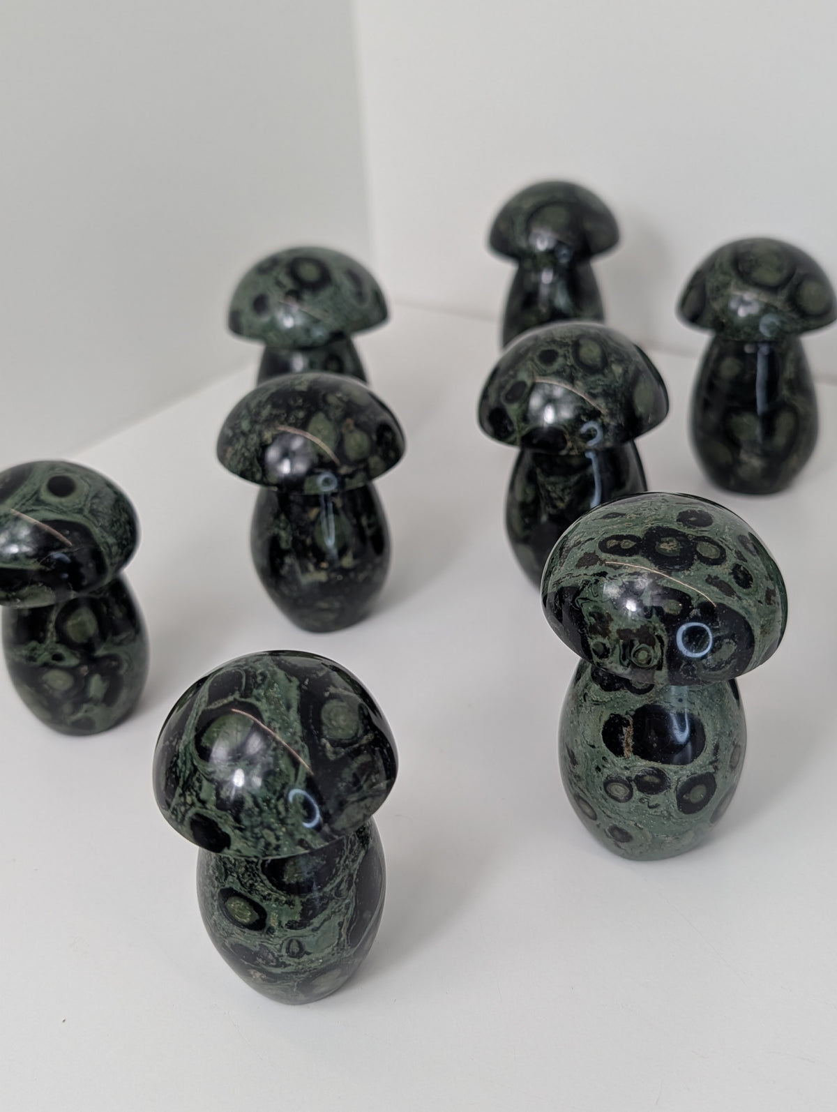 Madagascan Kambaba Jasper Mushrooms