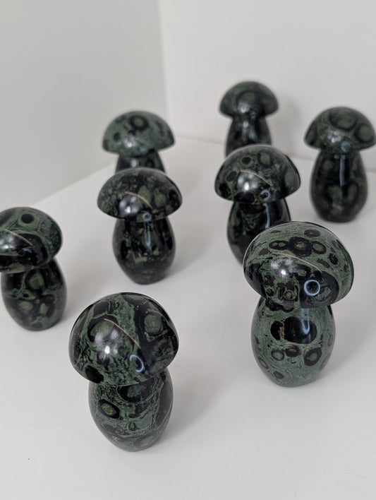 Madagascan Kambaba Jasper Mushrooms