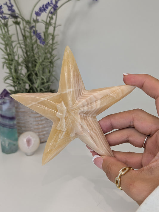 Mexican Honey Onyx Calcite Star Fish Carvings