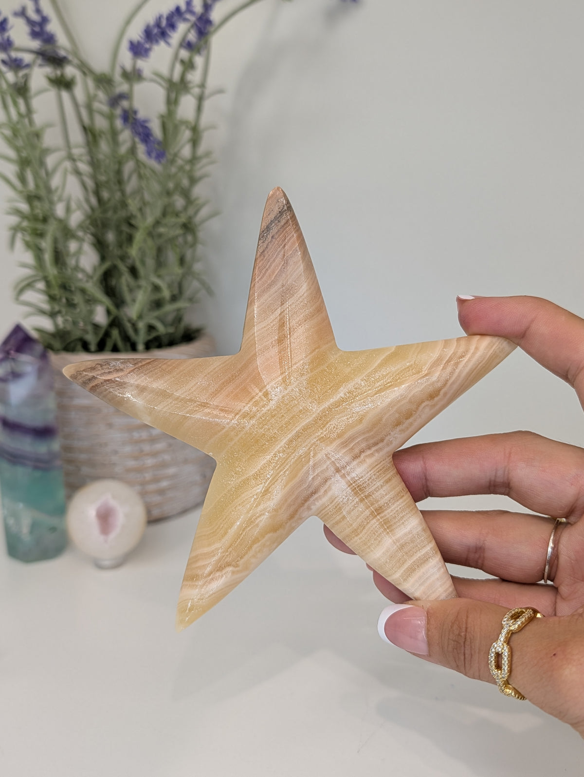 Mexican Honey Onyx Calcite Star Fish Carvings