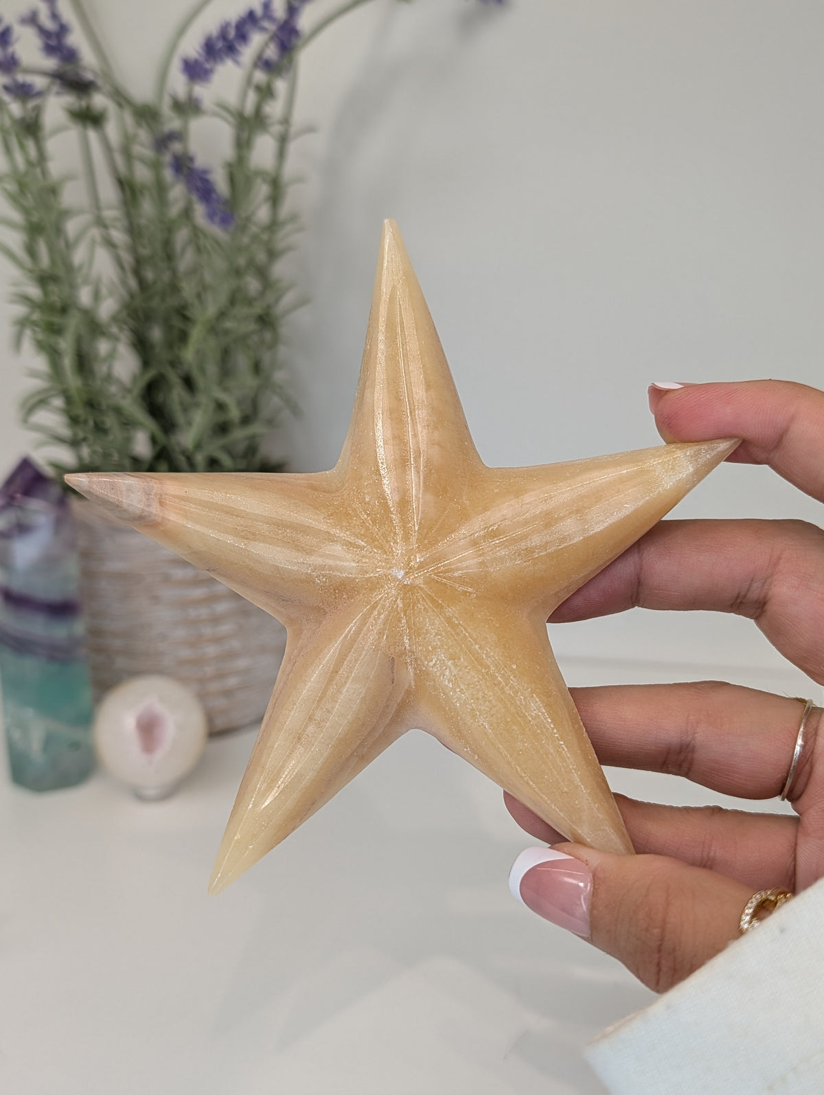 Mexican Honey Onyx Calcite Star Fish Carvings