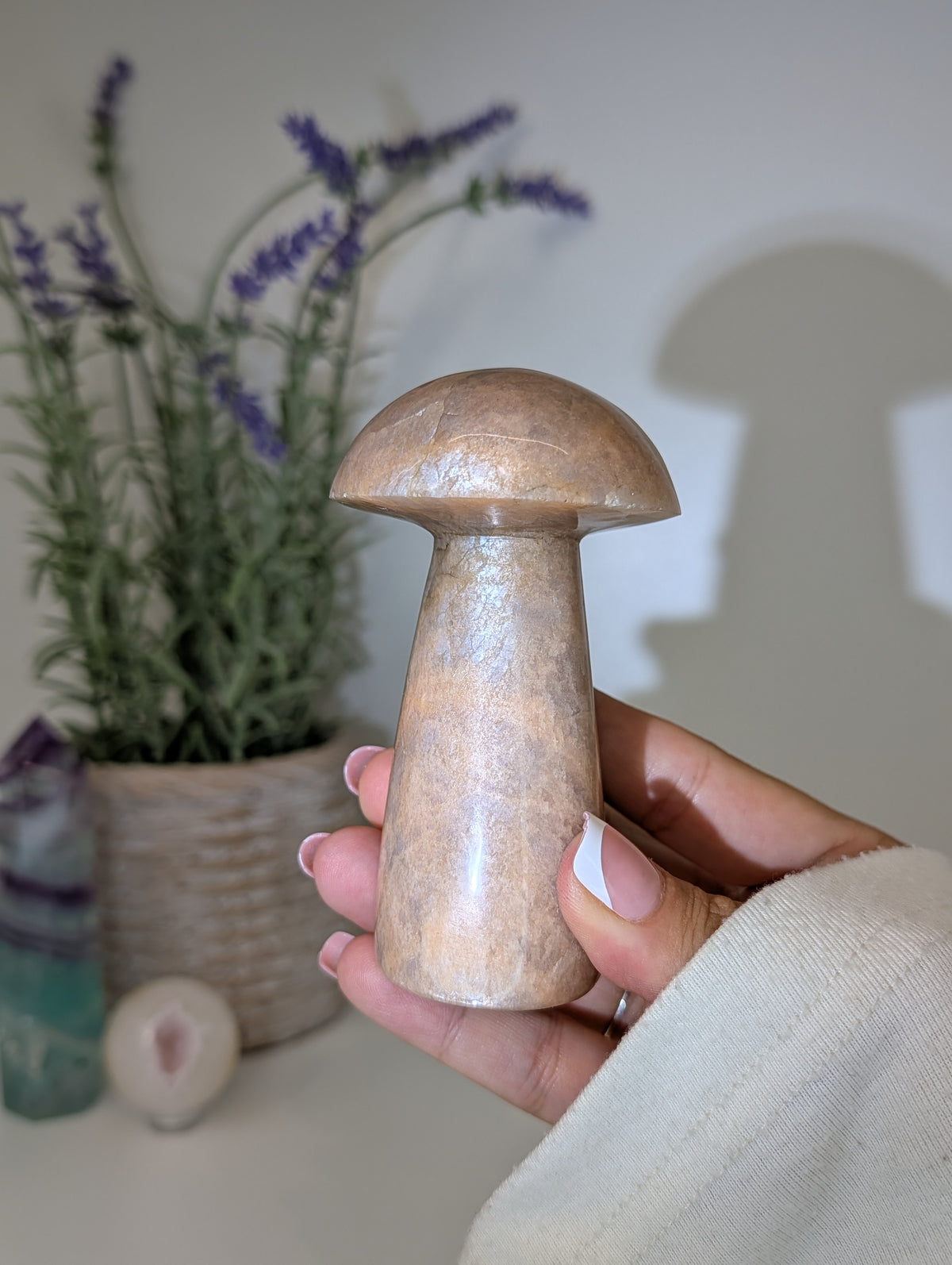 Madagascan Peach Moonstone Mushrooms