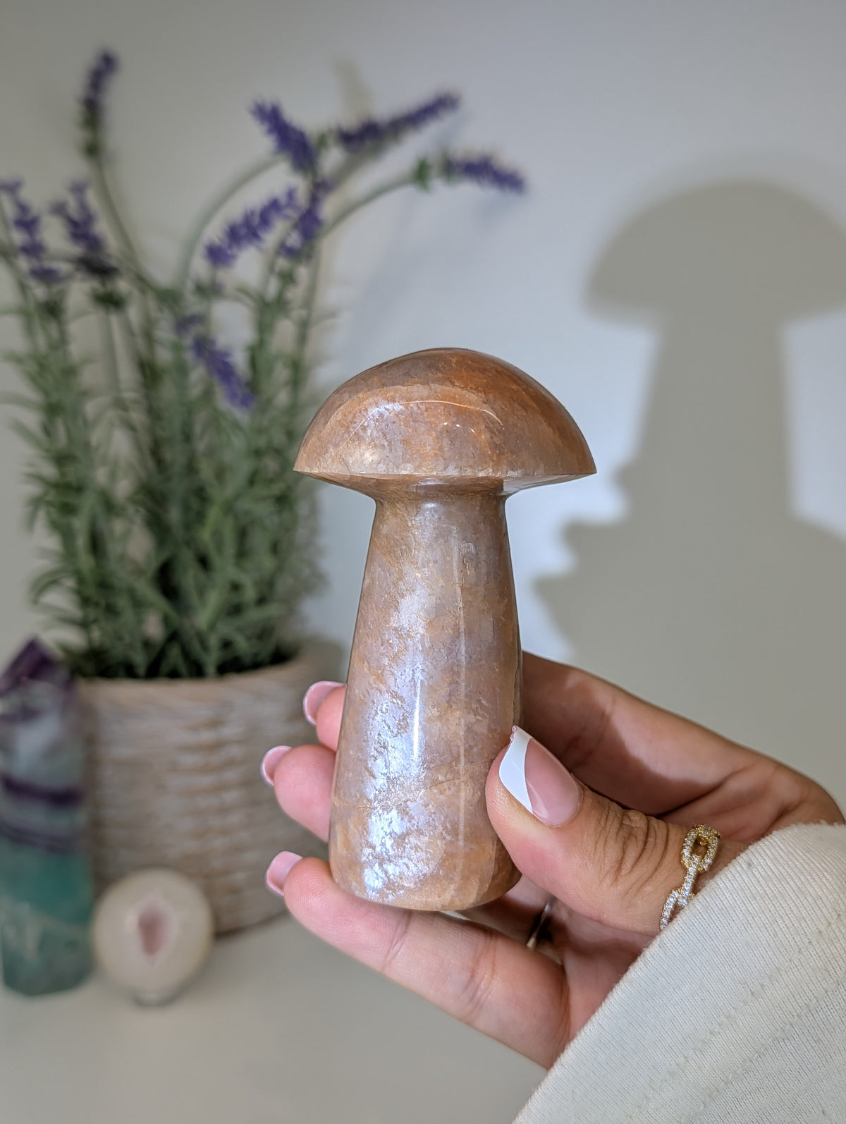Madagascan Peach Moonstone Mushrooms