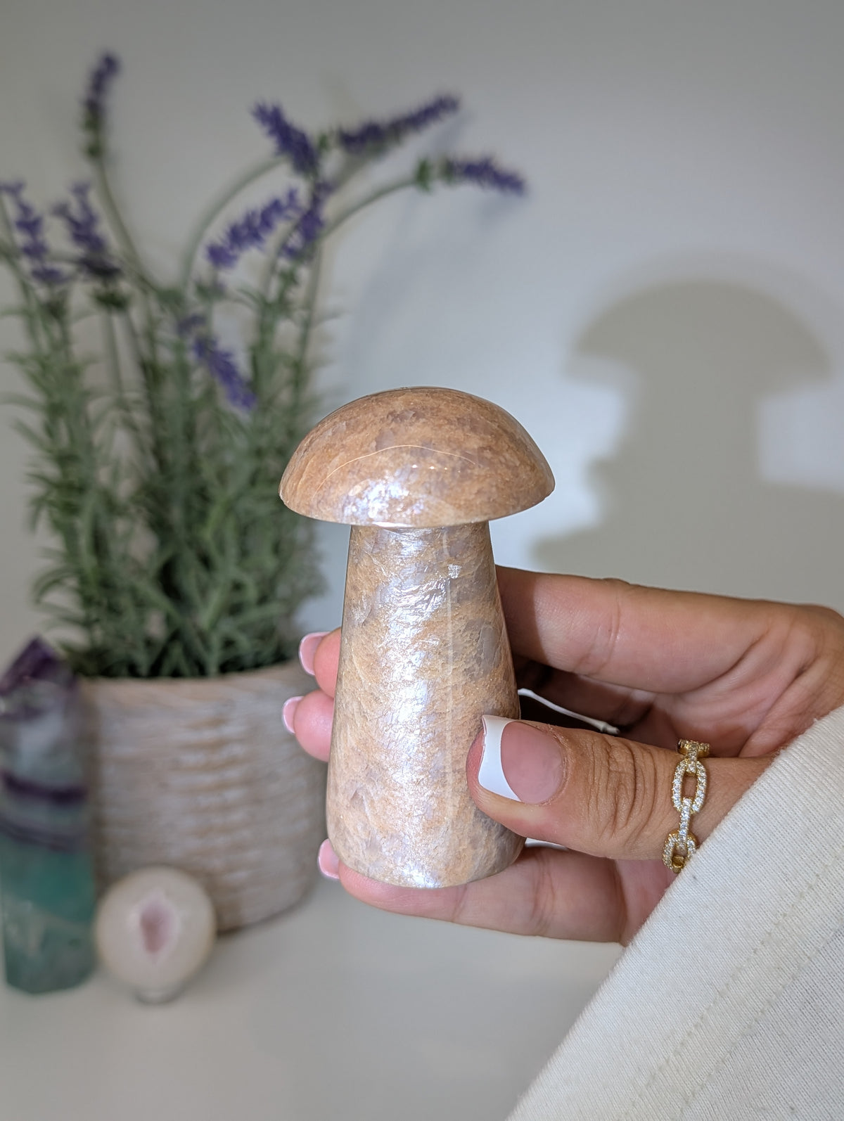 Madagascan Peach Moonstone Mushrooms