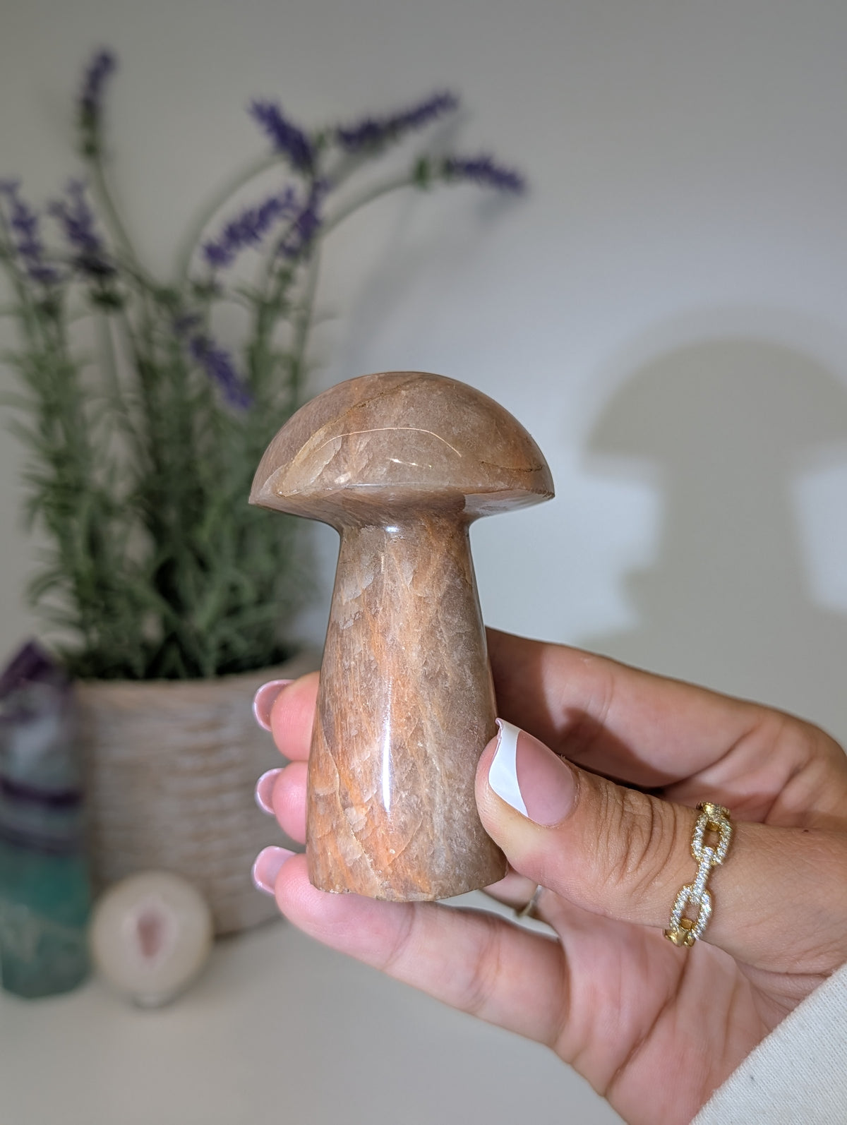 Madagascan Peach Moonstone Mushrooms