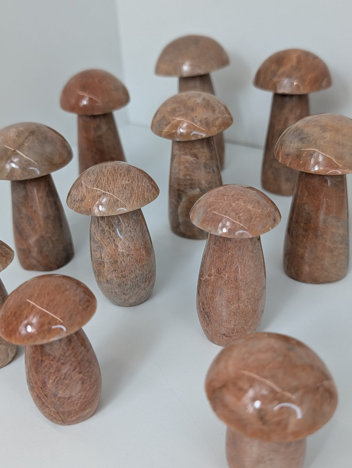 Madagascan Peach Moonstone Mushrooms