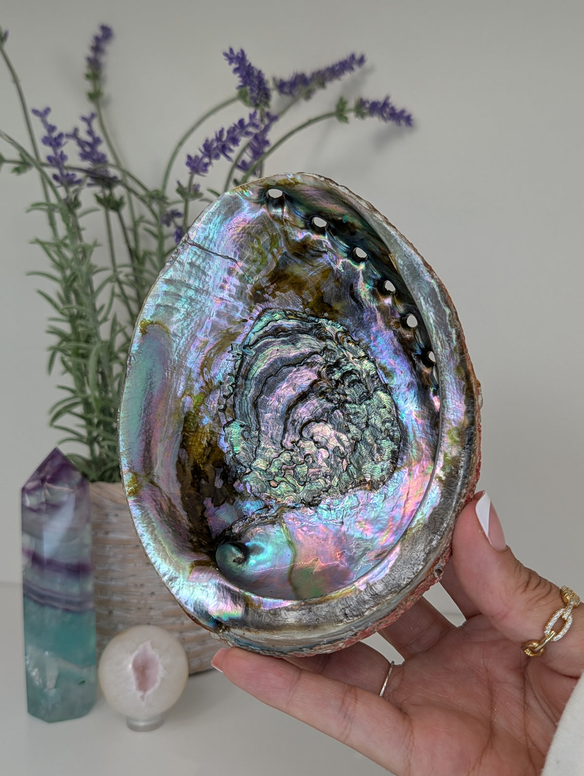 Abalone Shell Bowl Trinket Dish