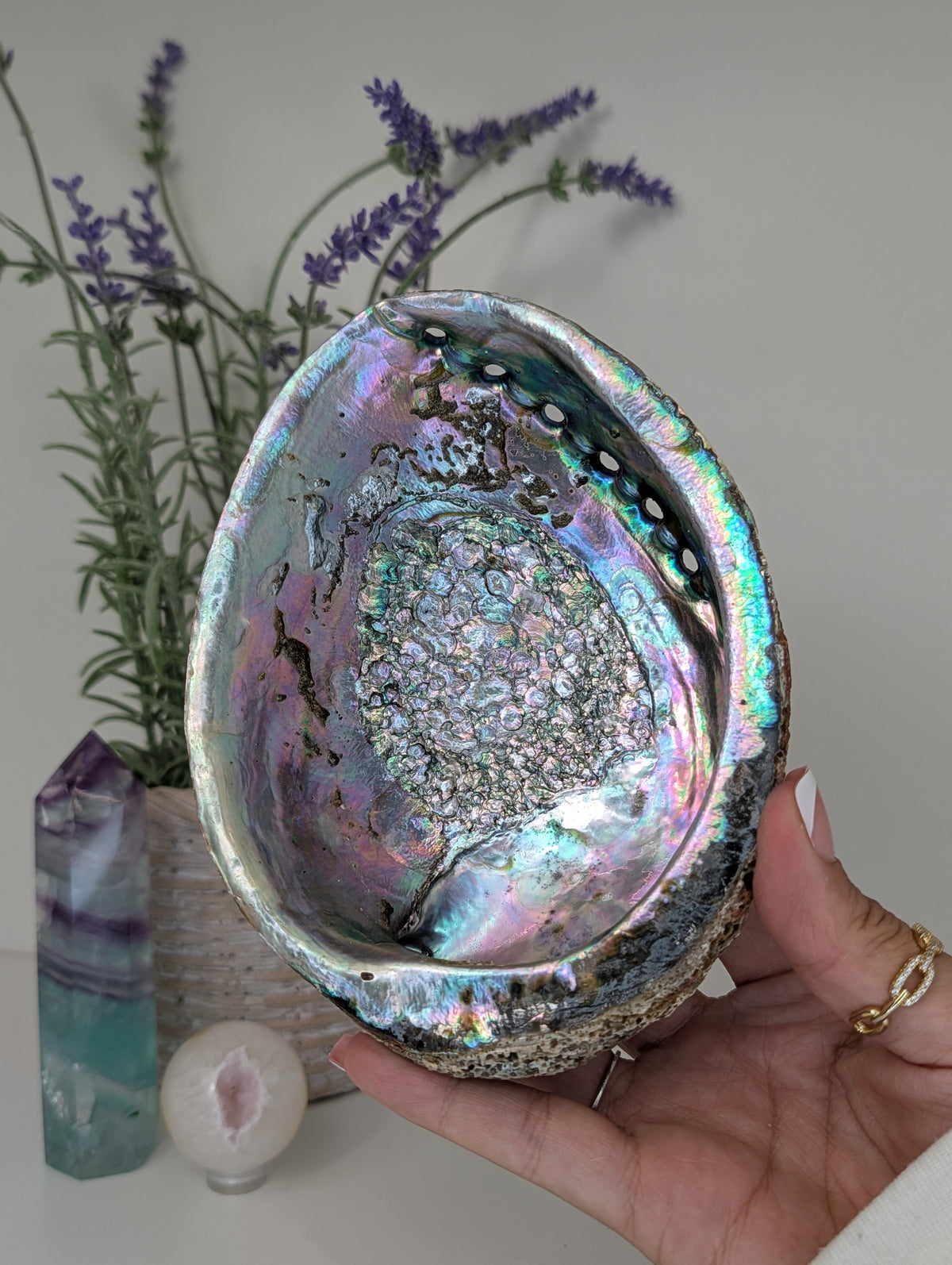 Abalone Shell Bowl Trinket Dish
