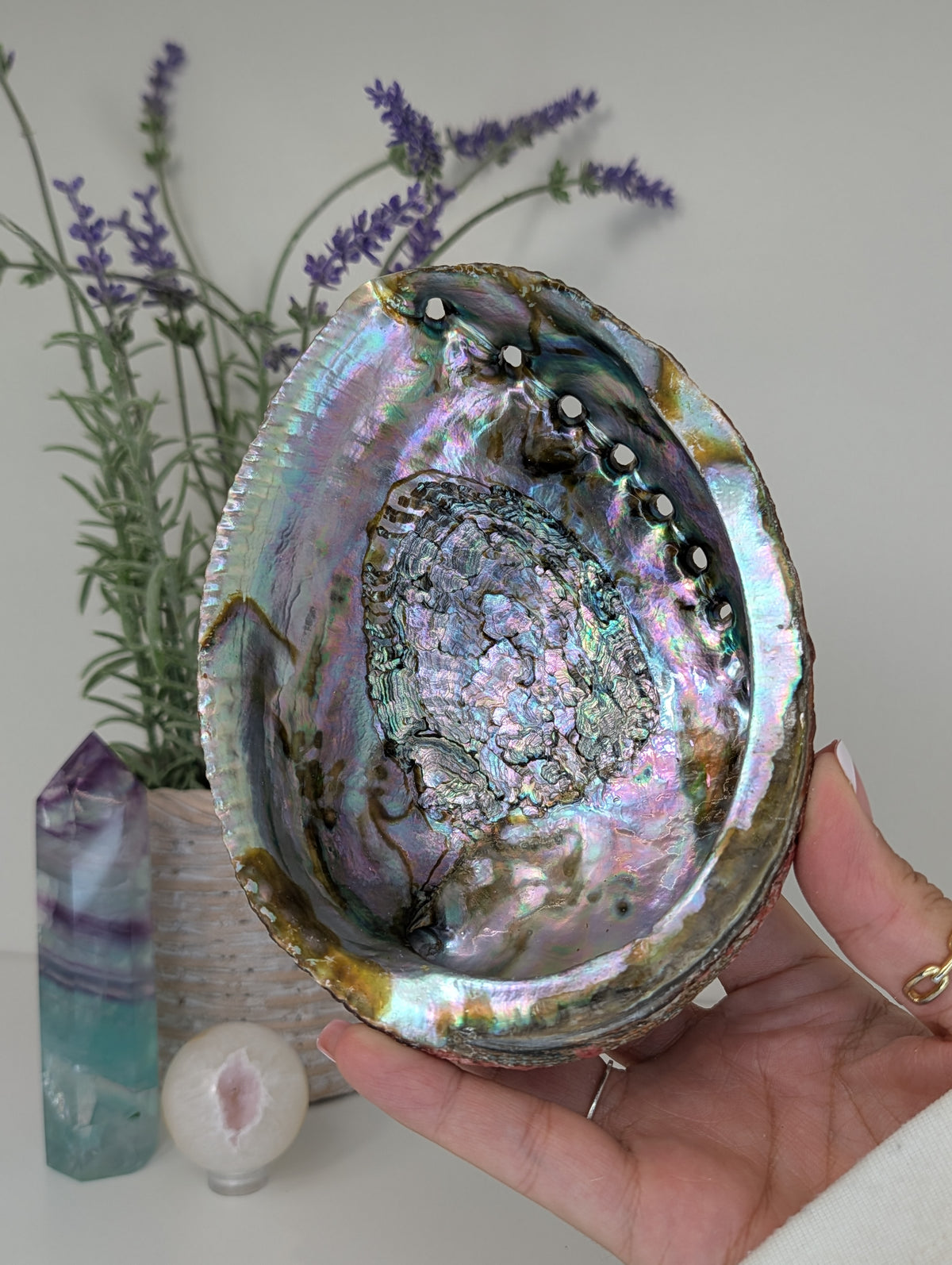 Abalone Shell Bowl Trinket Dish