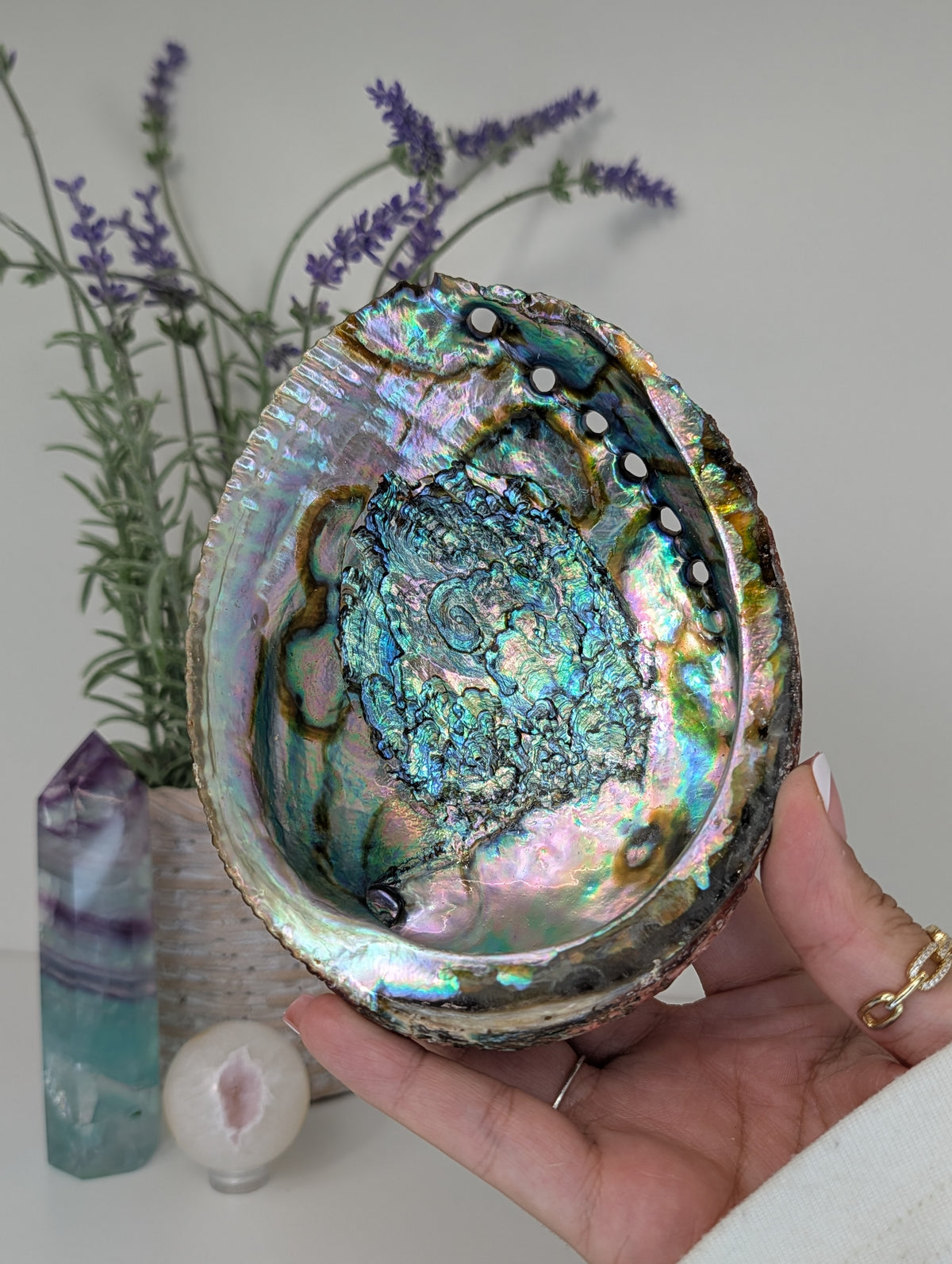 Abalone Shell Bowl Trinket Dish