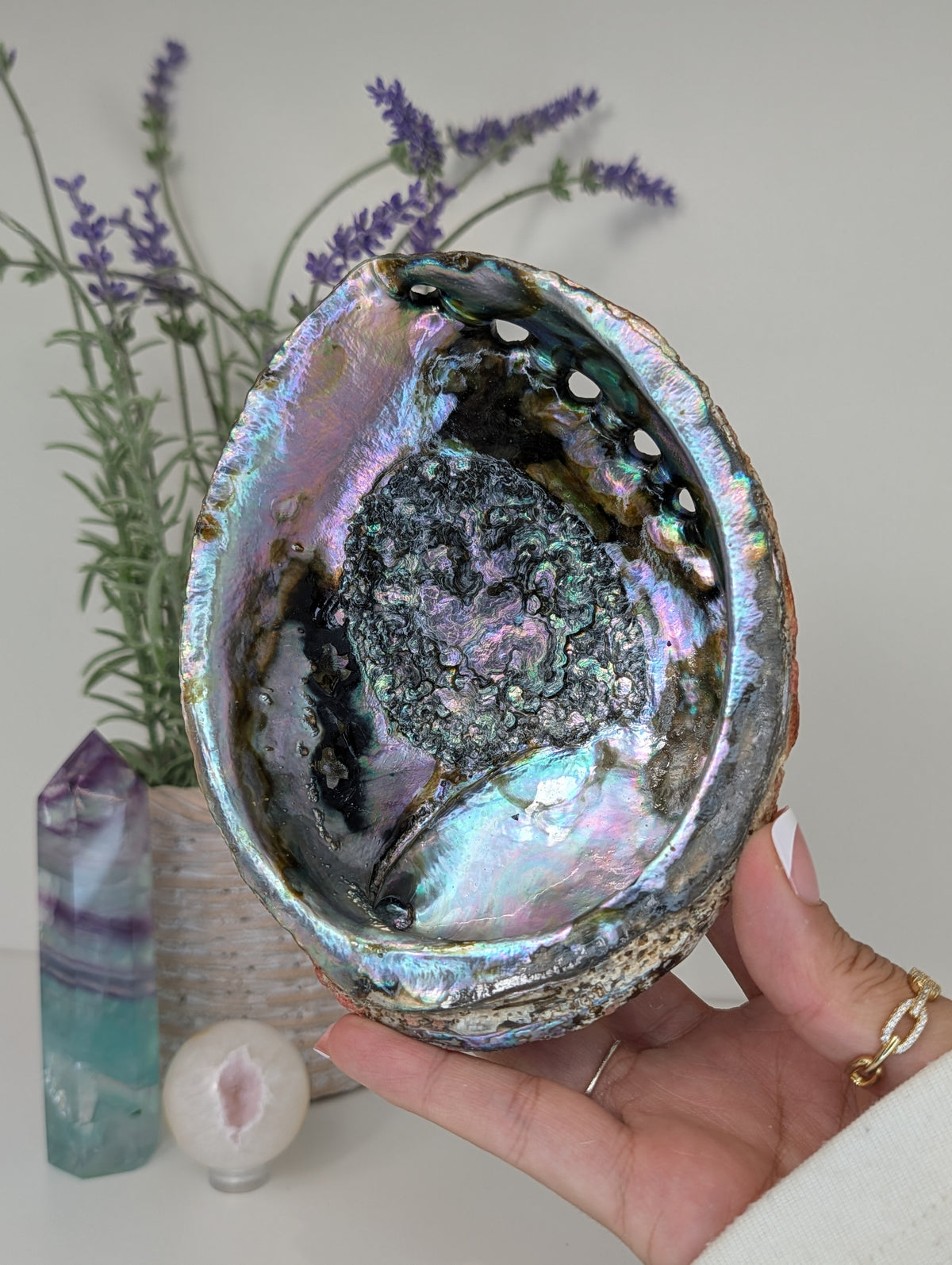 Abalone Shell Bowl Trinket Dish