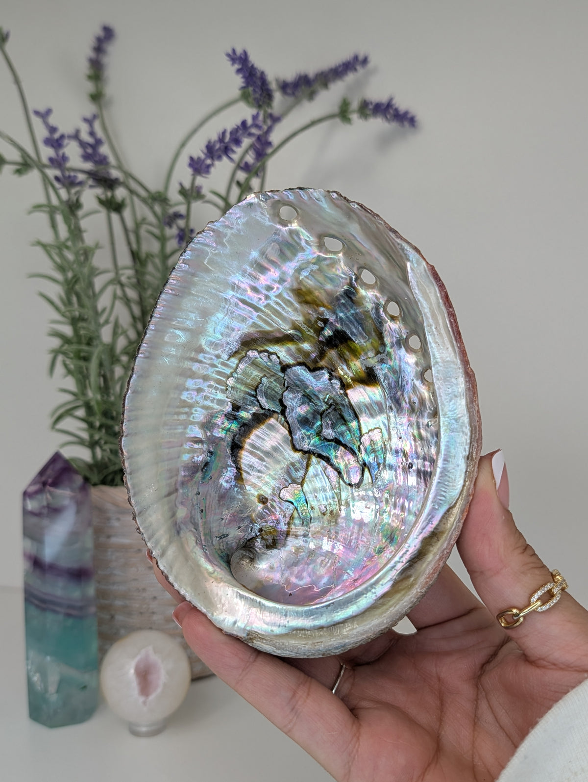 Abalone Shell Bowl Trinket Dish