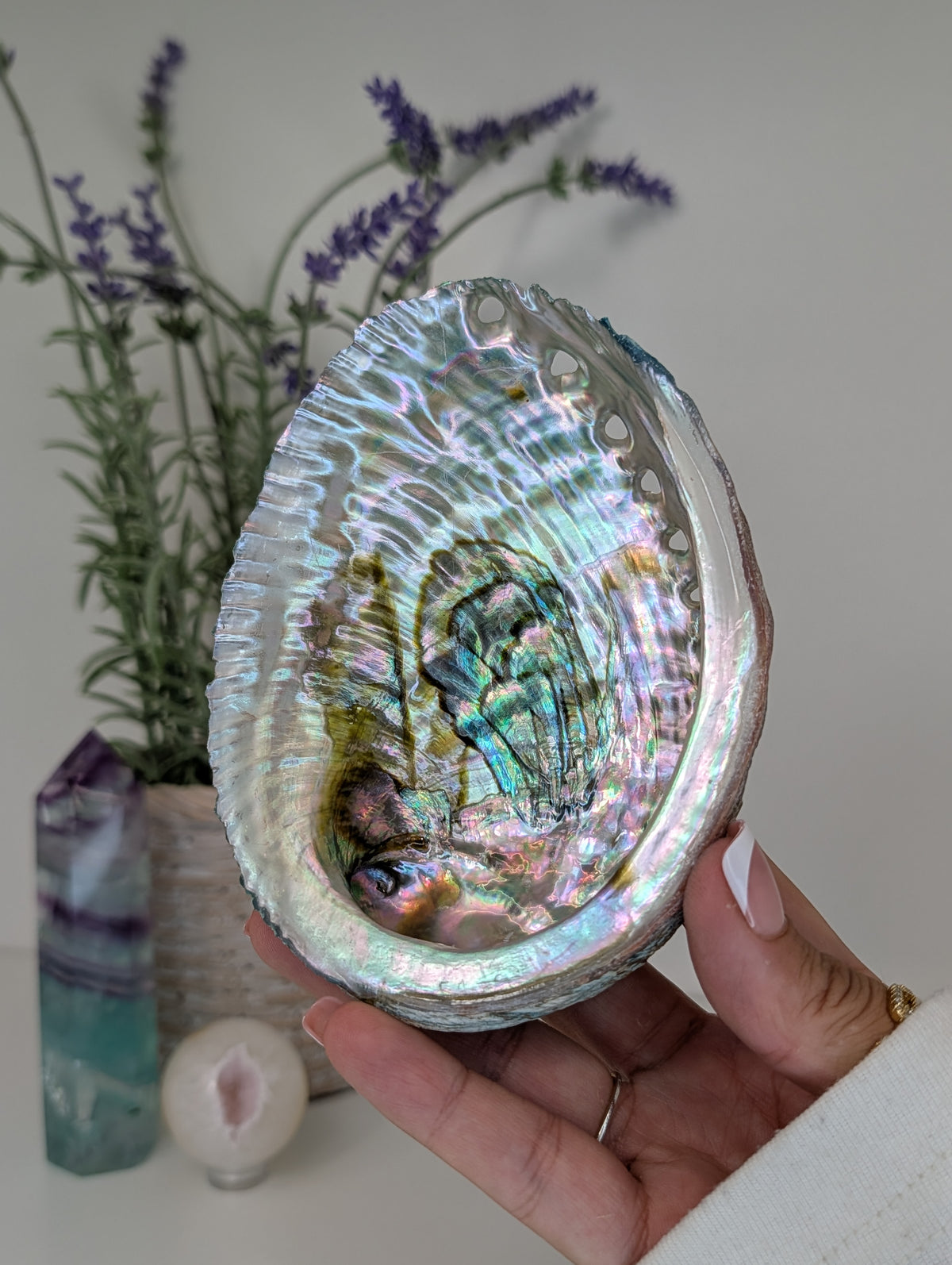 Abalone Shell Bowl Trinket Dish
