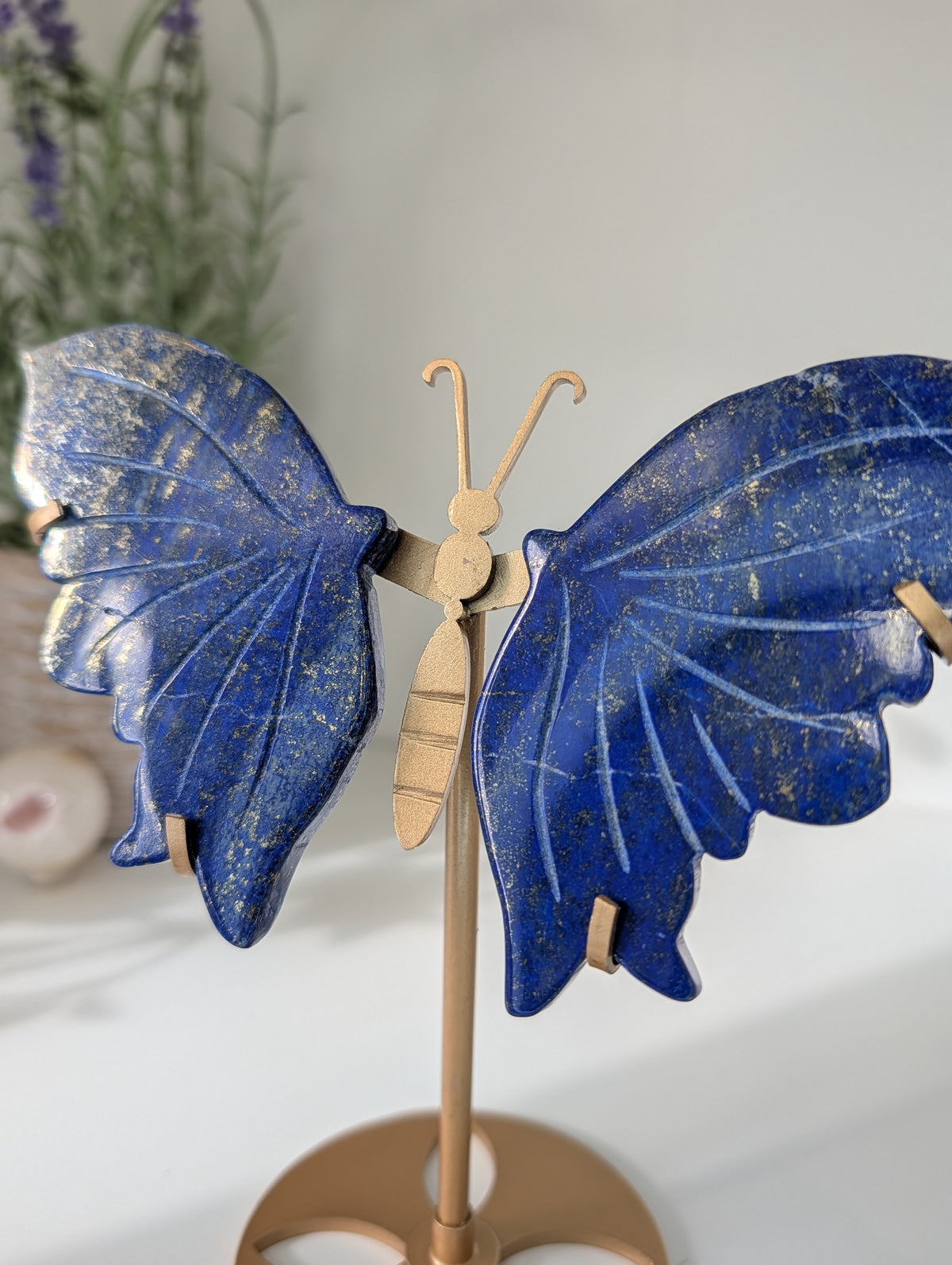 Lapis Lazuli Butterfly Wings on Custom Gold Stand